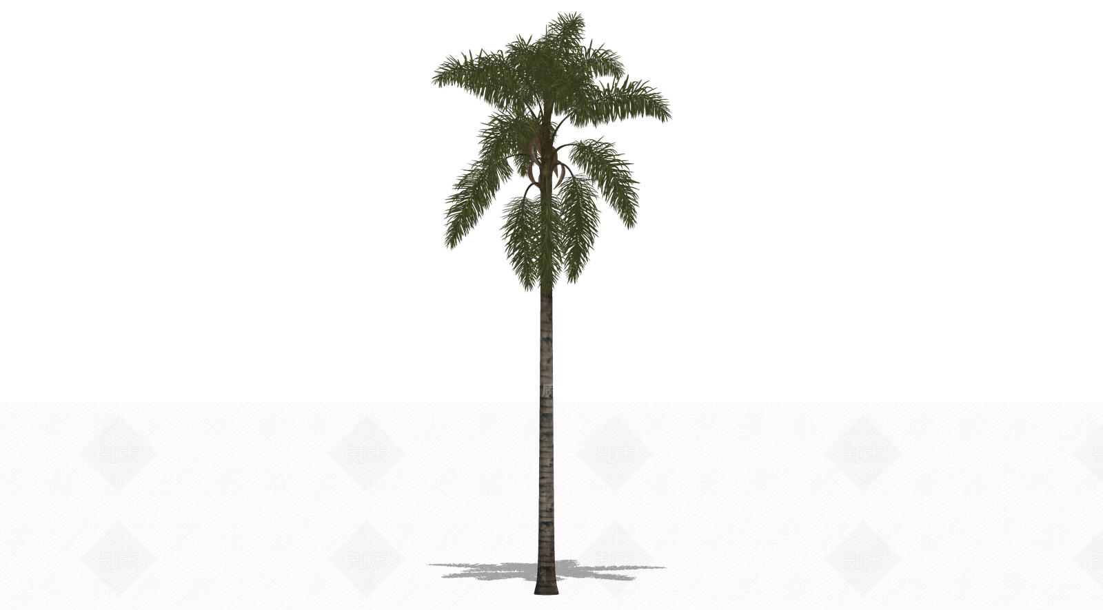 乔木SU模型下载【ID:1203212204】