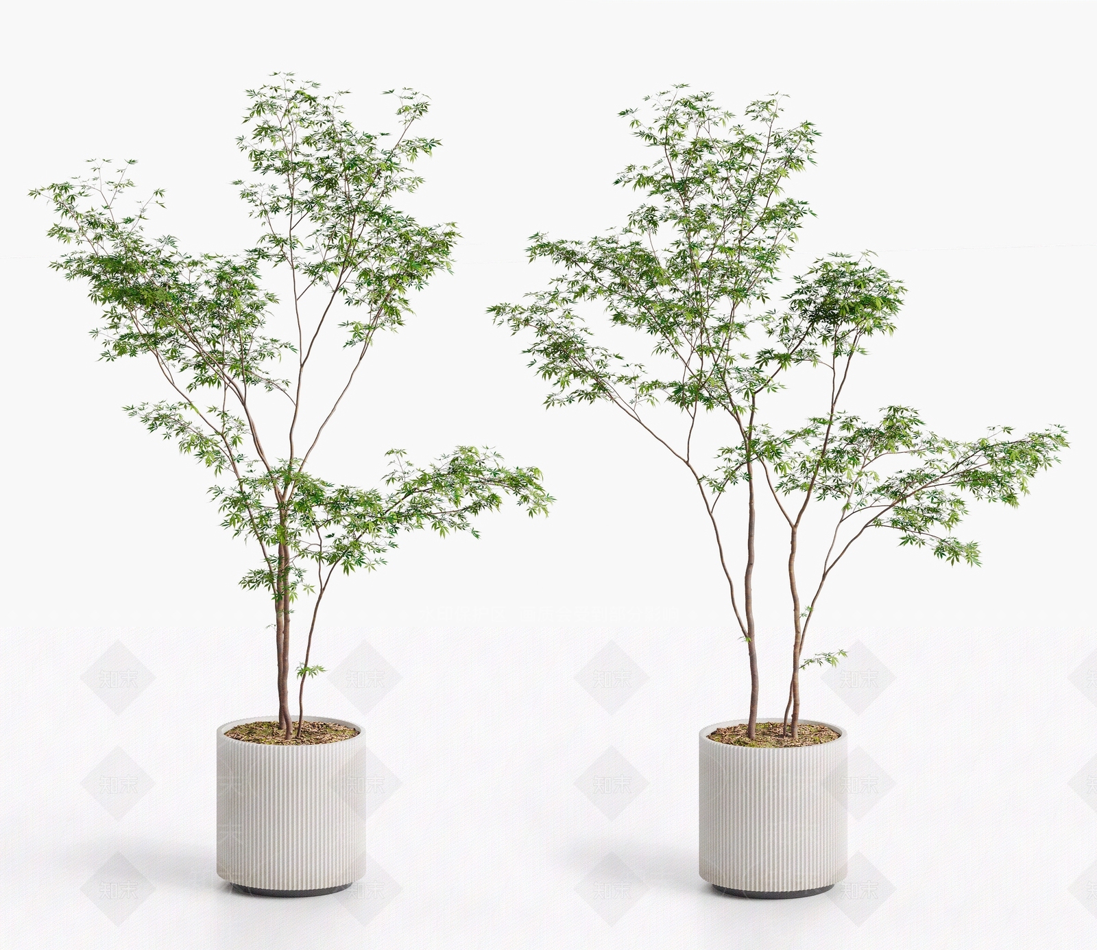 盆栽3D模型下载【ID:1203223300】