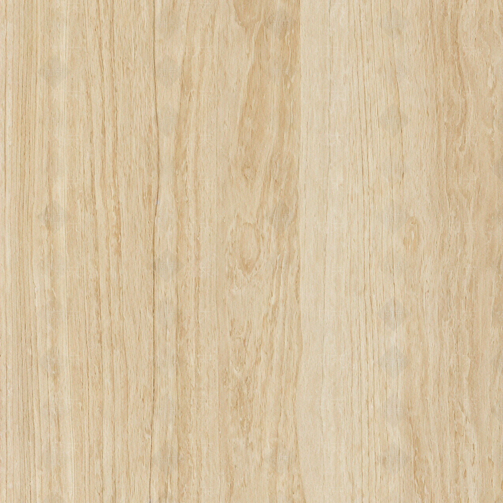 原木其他木材贴图下载【ID:1203240814】