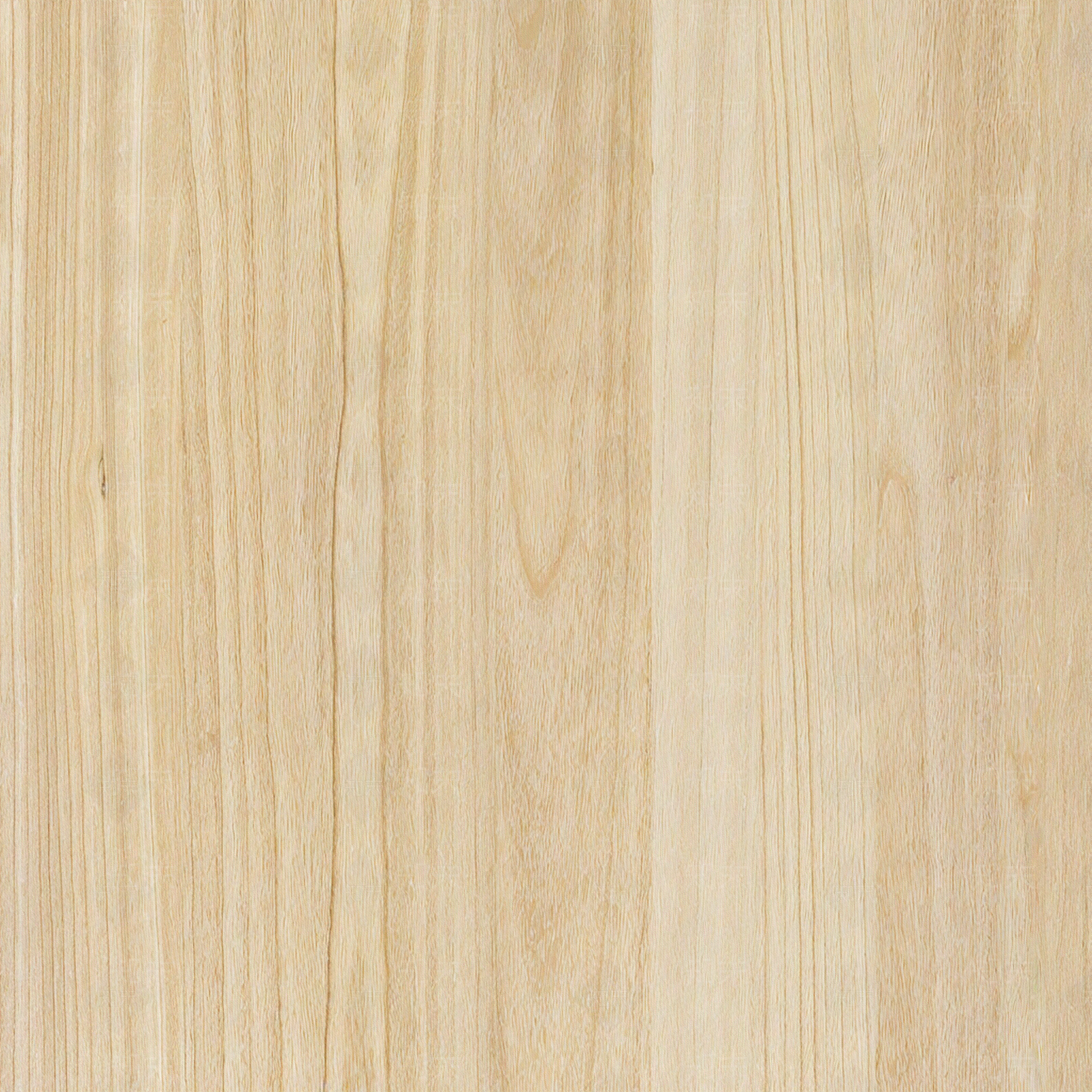 原木其他木材贴图下载【ID:1203240922】