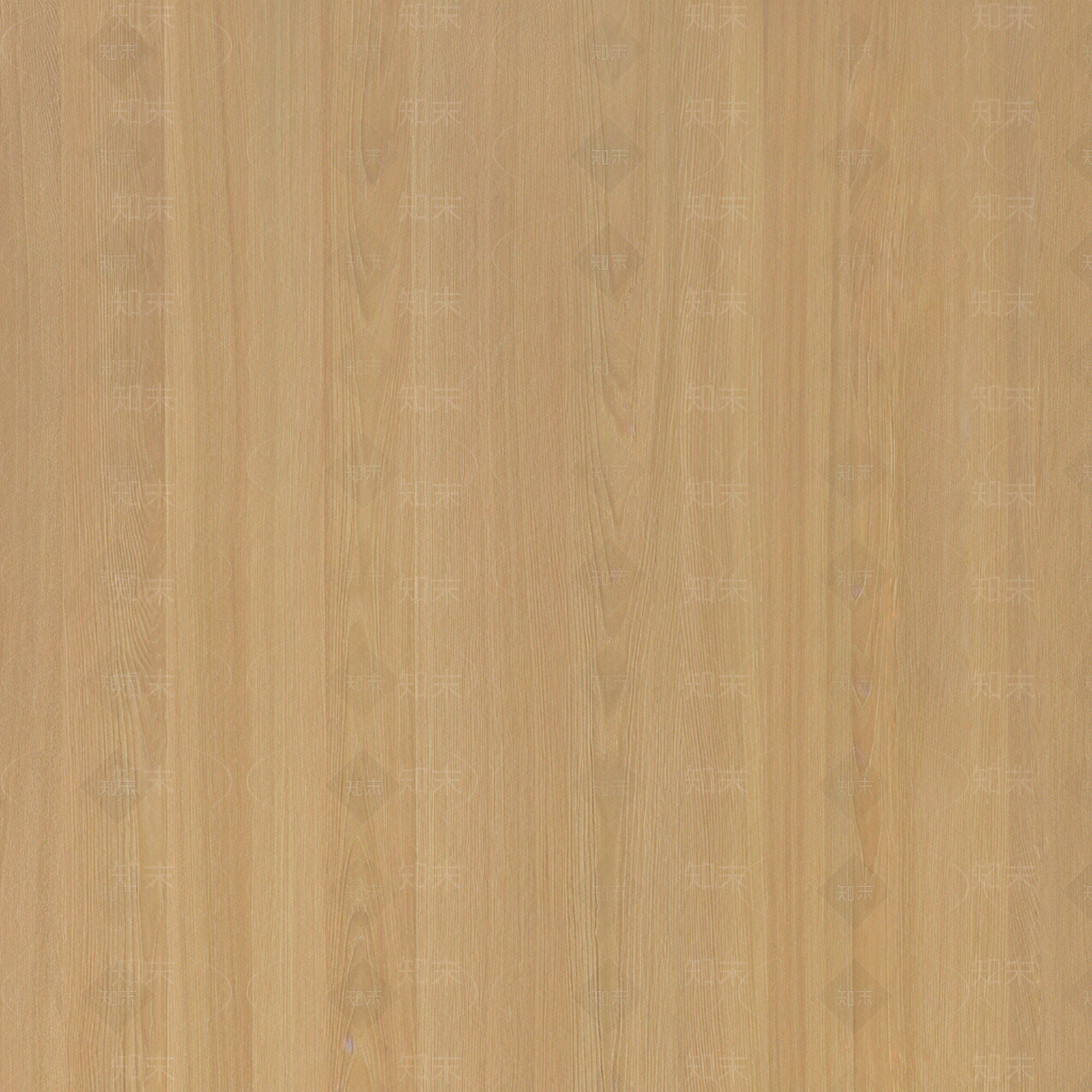 原木其他木材贴图下载【ID:1203241728】