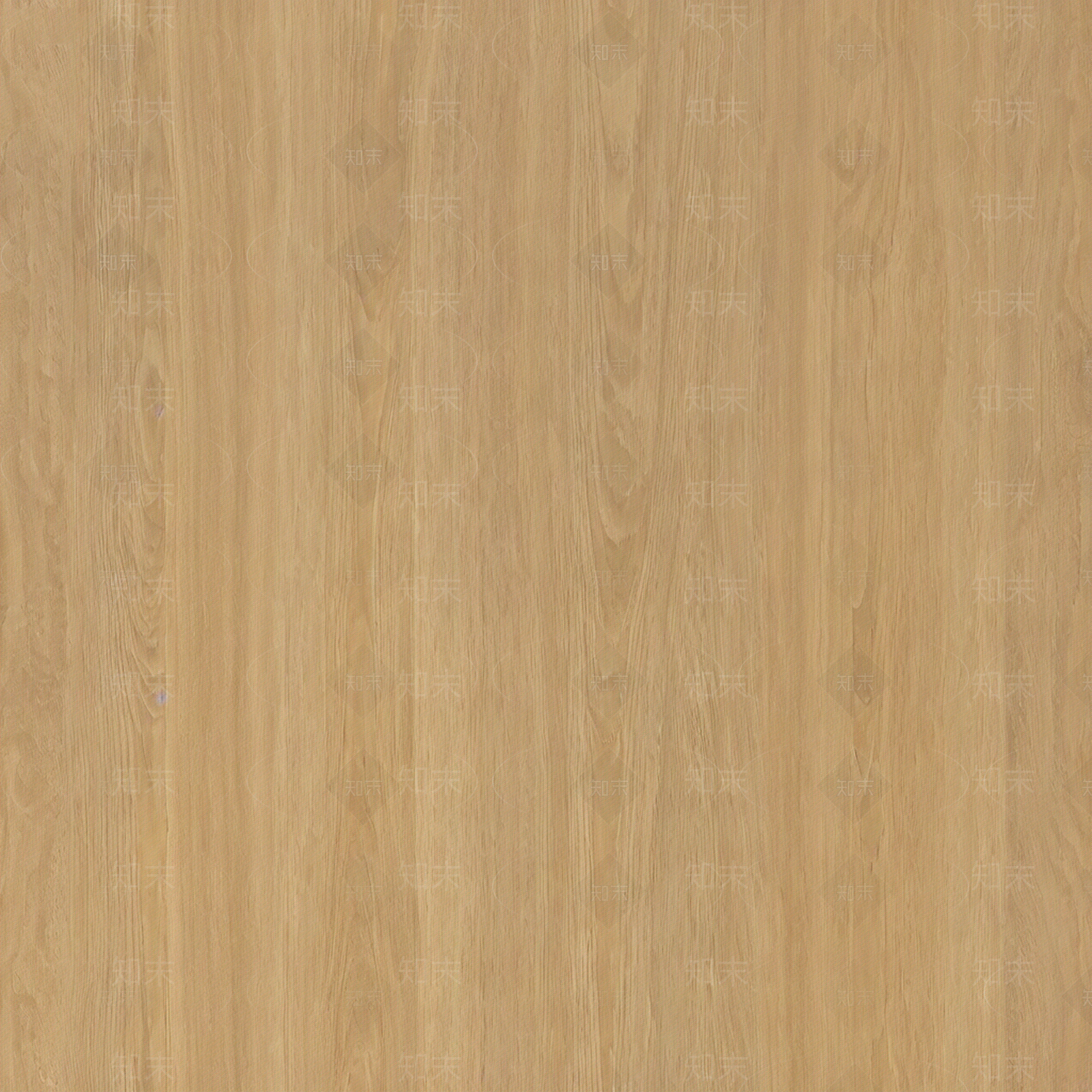 原木其他木材贴图下载【ID:1203241843】