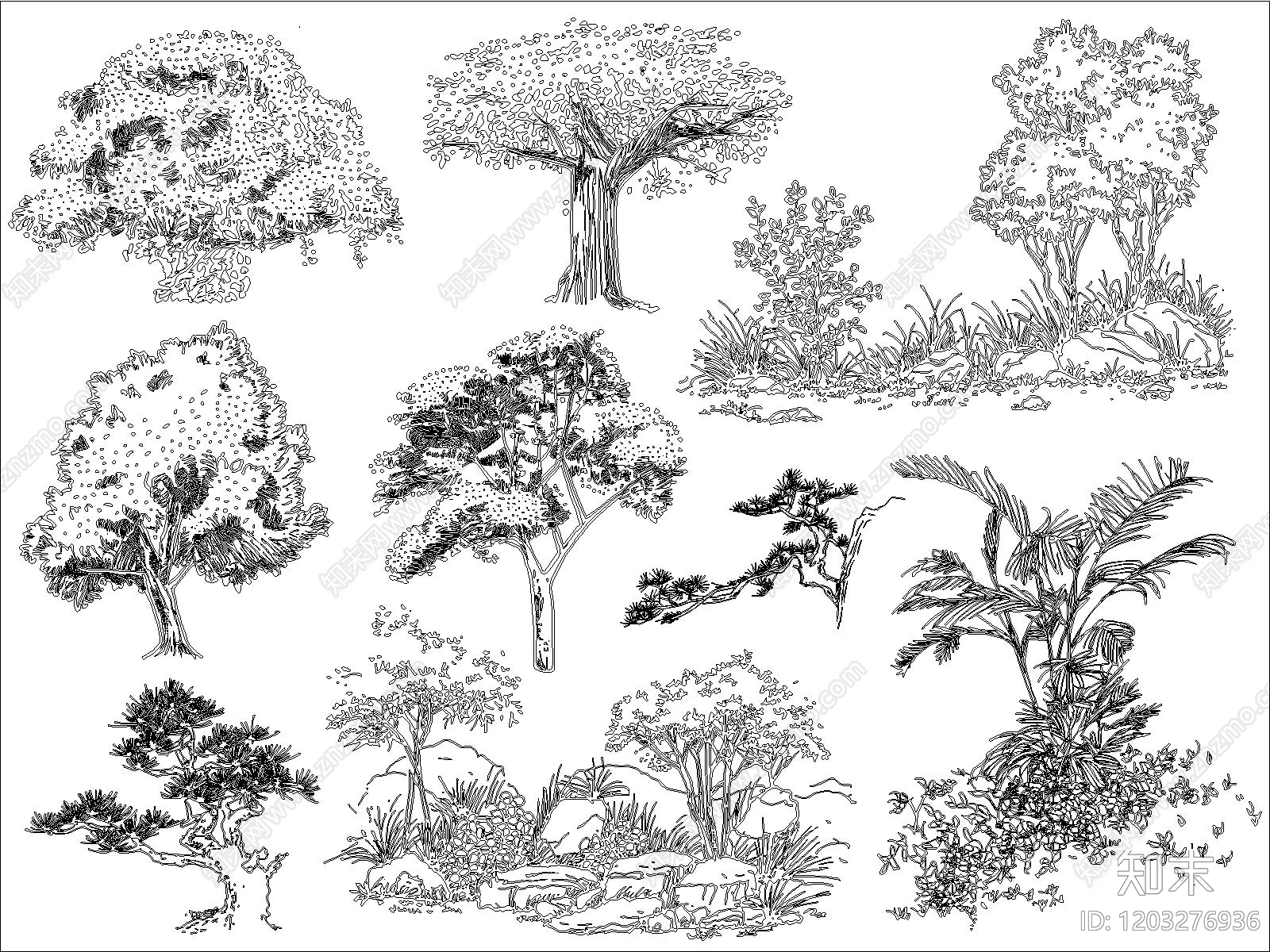 乔木种植施工图下载【ID:1203276936】