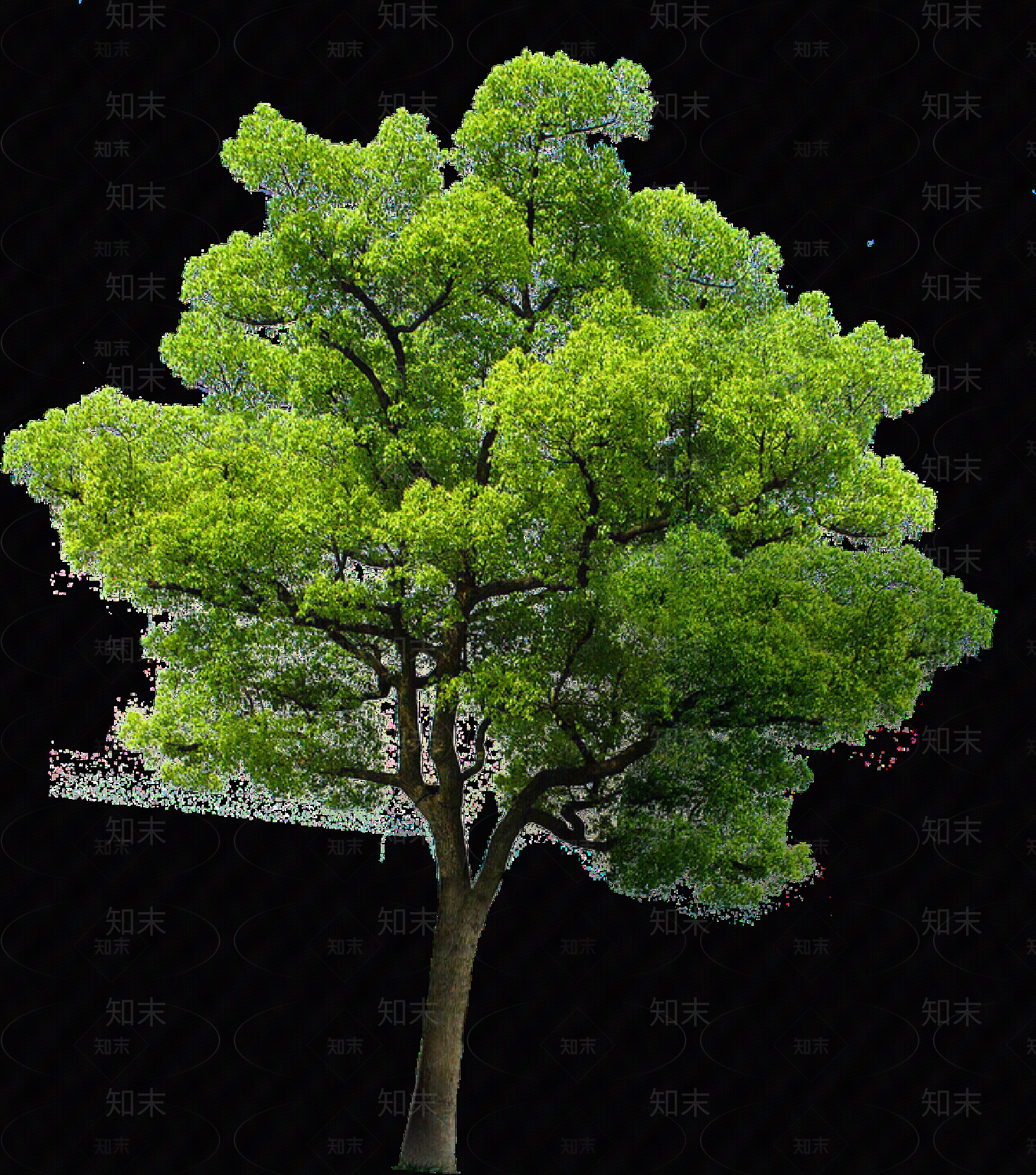 现代其它HDR贴图下载【ID:1203309060】