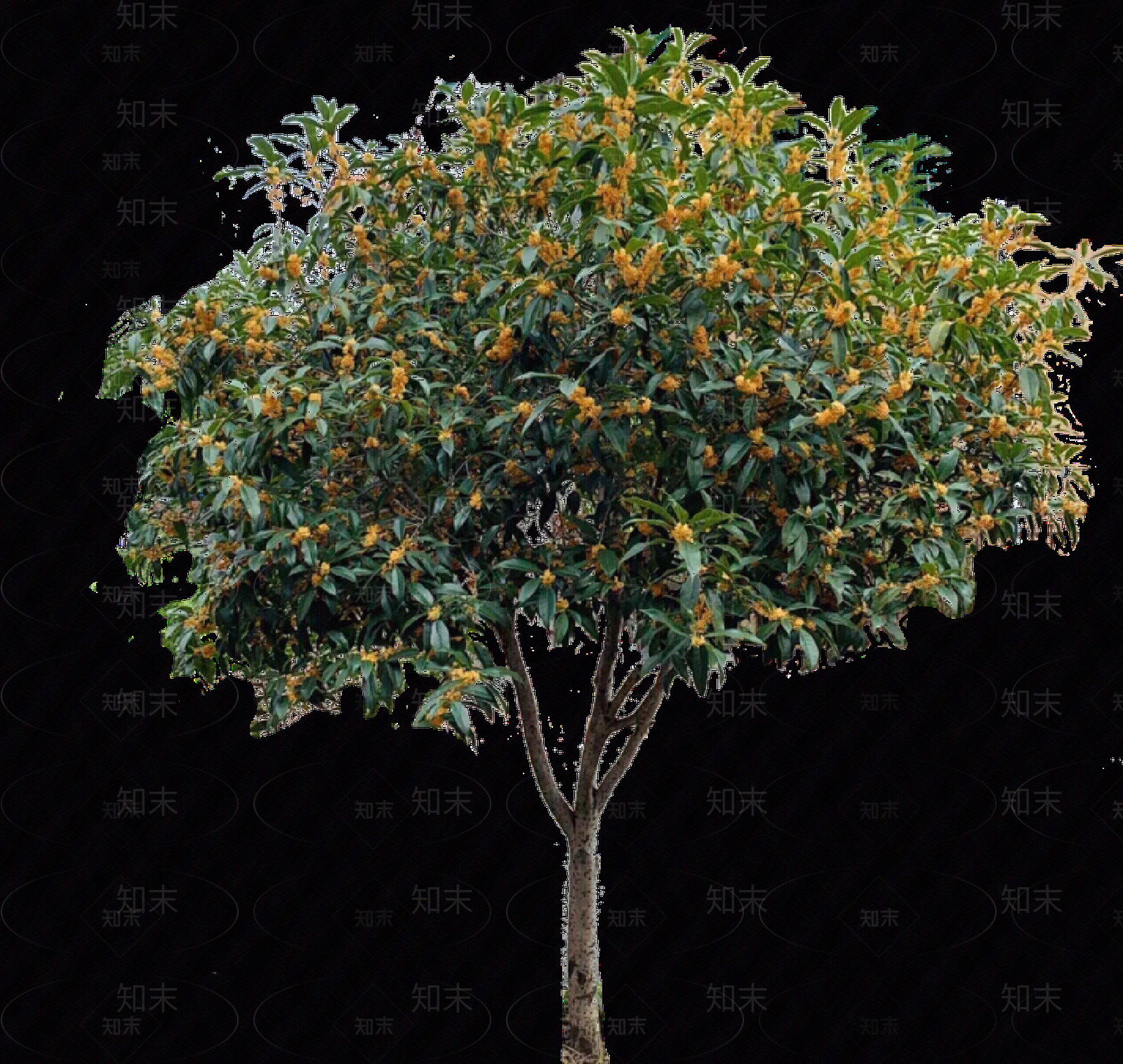 现代其它HDR贴图下载【ID:1203315043】