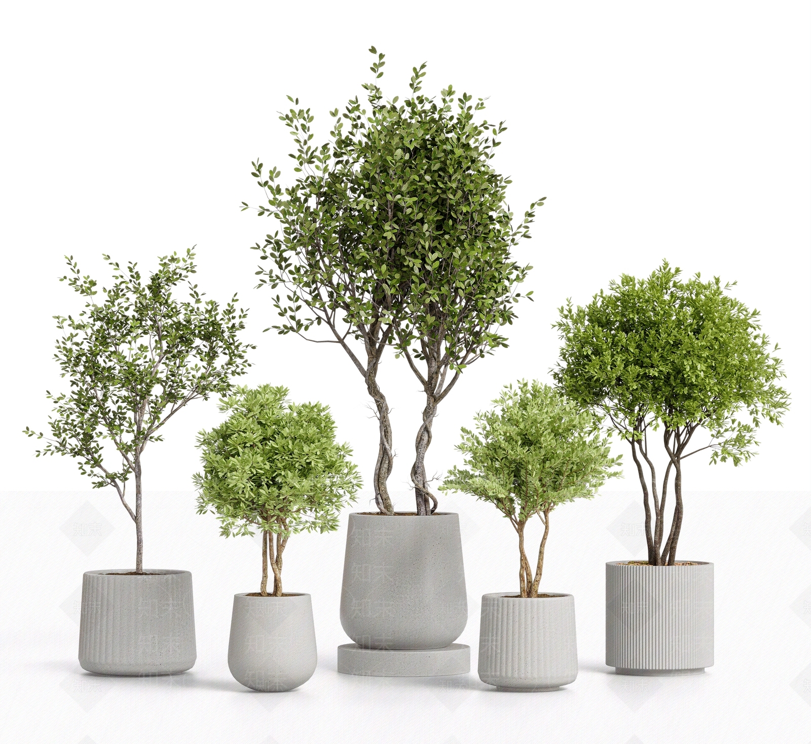 盆栽SU模型下载【ID:1203325356】