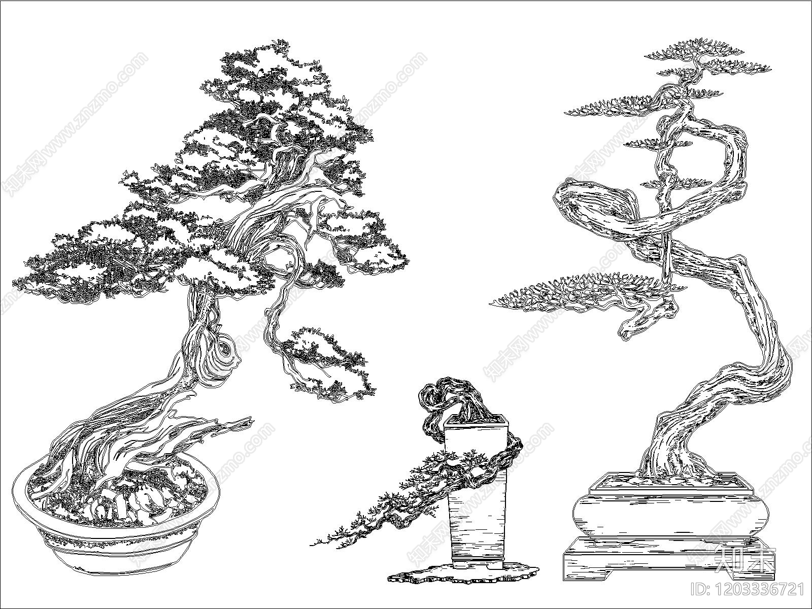 中式绿植cad施工图下载【ID:1203336721】