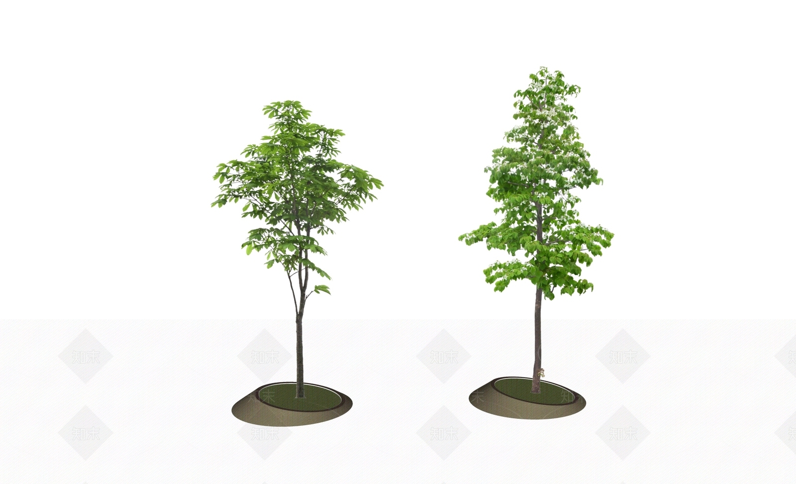 乔木SU模型下载【ID:1203338298】