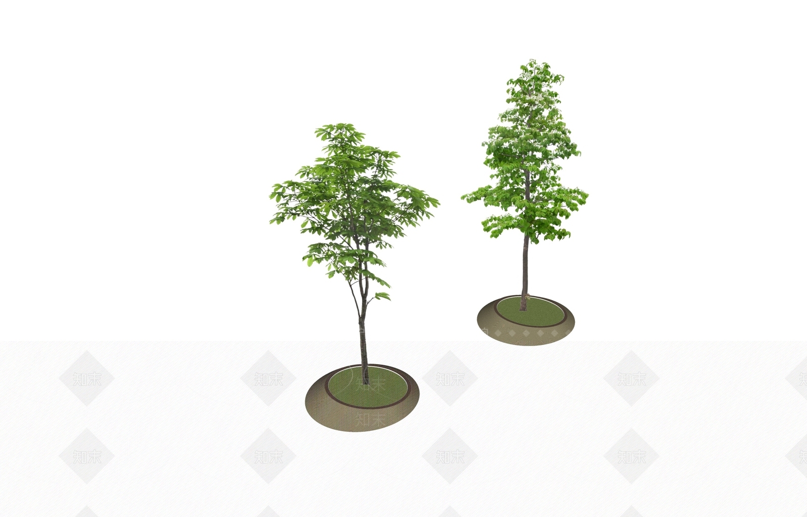 乔木SU模型下载【ID:1203338298】
