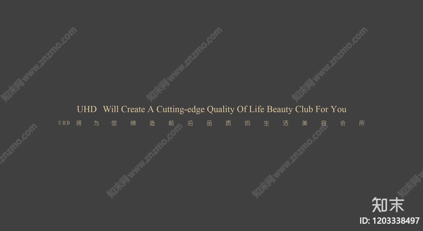 现代侘寂美容院下载【ID:1203338497】