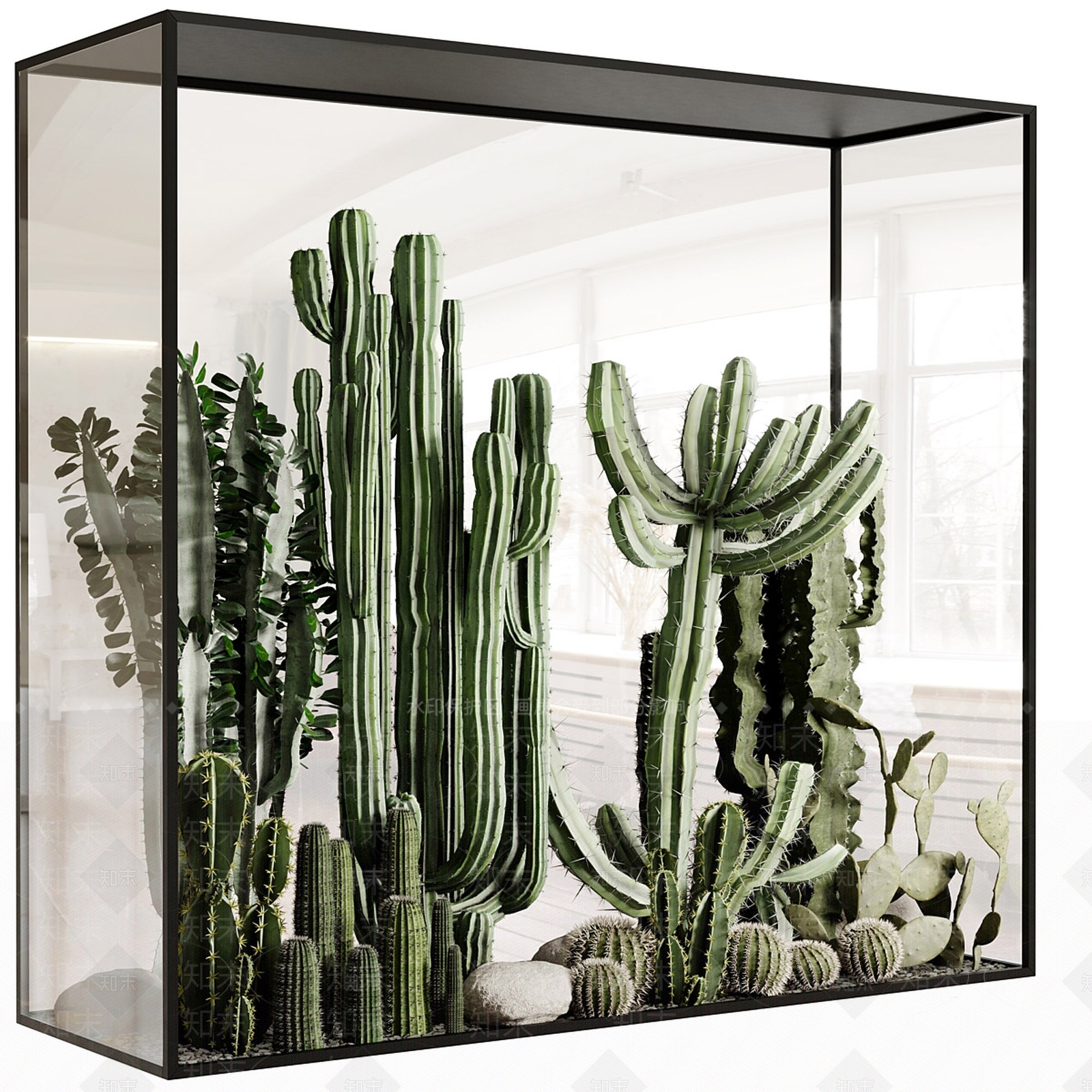现代沙漠植物3D模型下载【ID:1203346318】