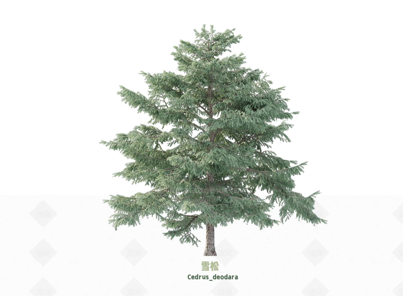 乔木3D模型下载【ID:1203355726】