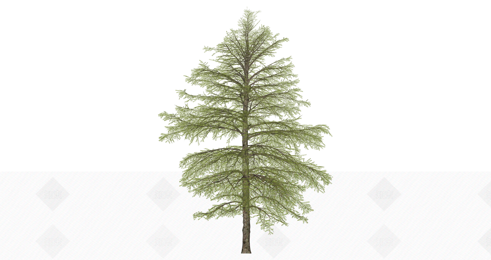 乔木SU模型下载【ID:1203356090】