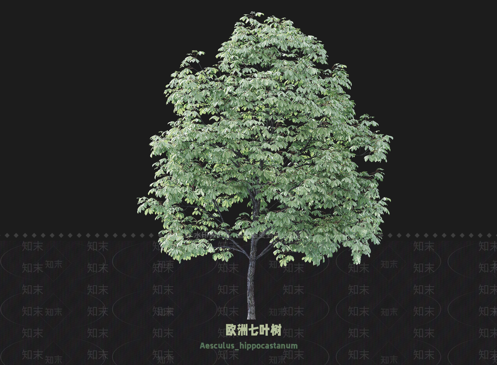 乔木SU模型下载【ID:1203356290】