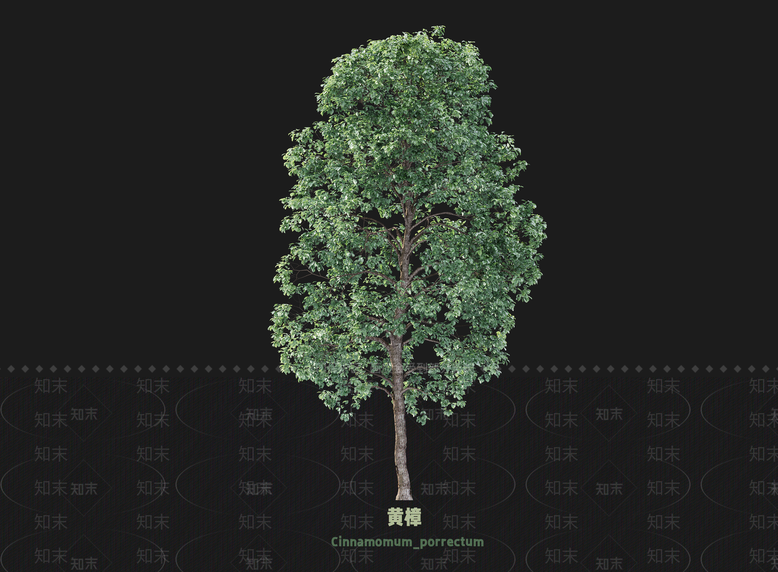 乔木3D模型下载【ID:1203356391】