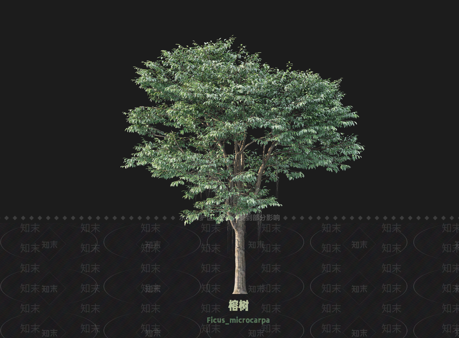 乔木SU模型下载【ID:1203356684】