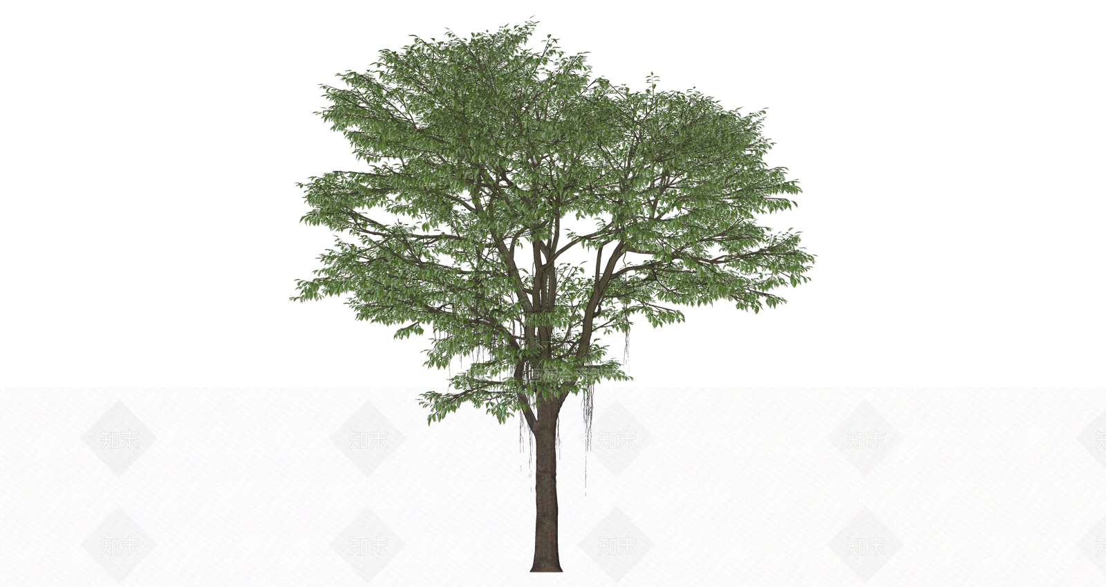 乔木SU模型下载【ID:1203356684】