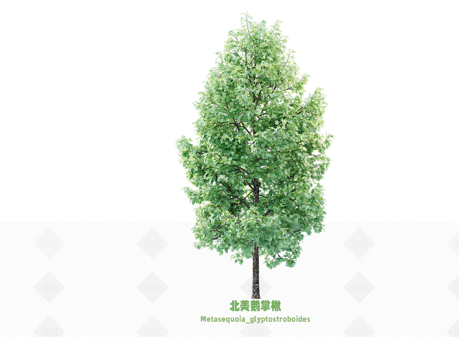 乔木SU模型下载【ID:1203358584】