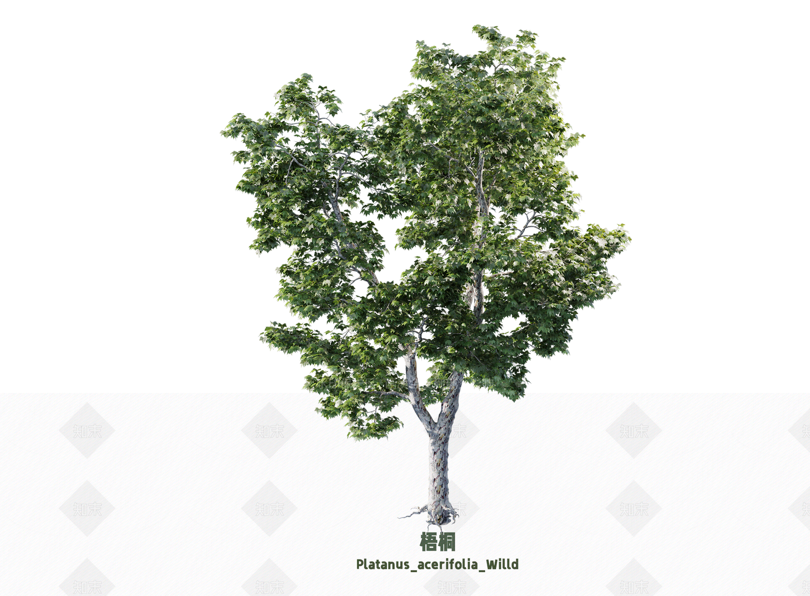 乔木SU模型下载【ID:1203359492】