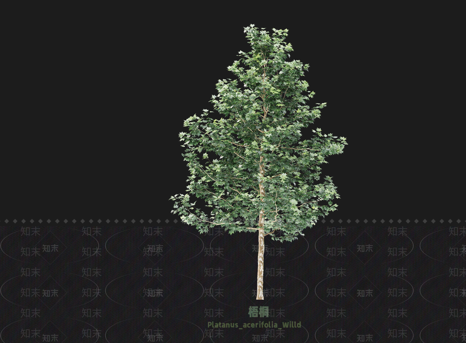 乔木SU模型下载【ID:1203360230】