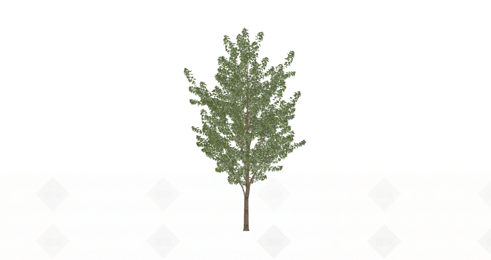 乔木SU模型下载【ID:1203361032】