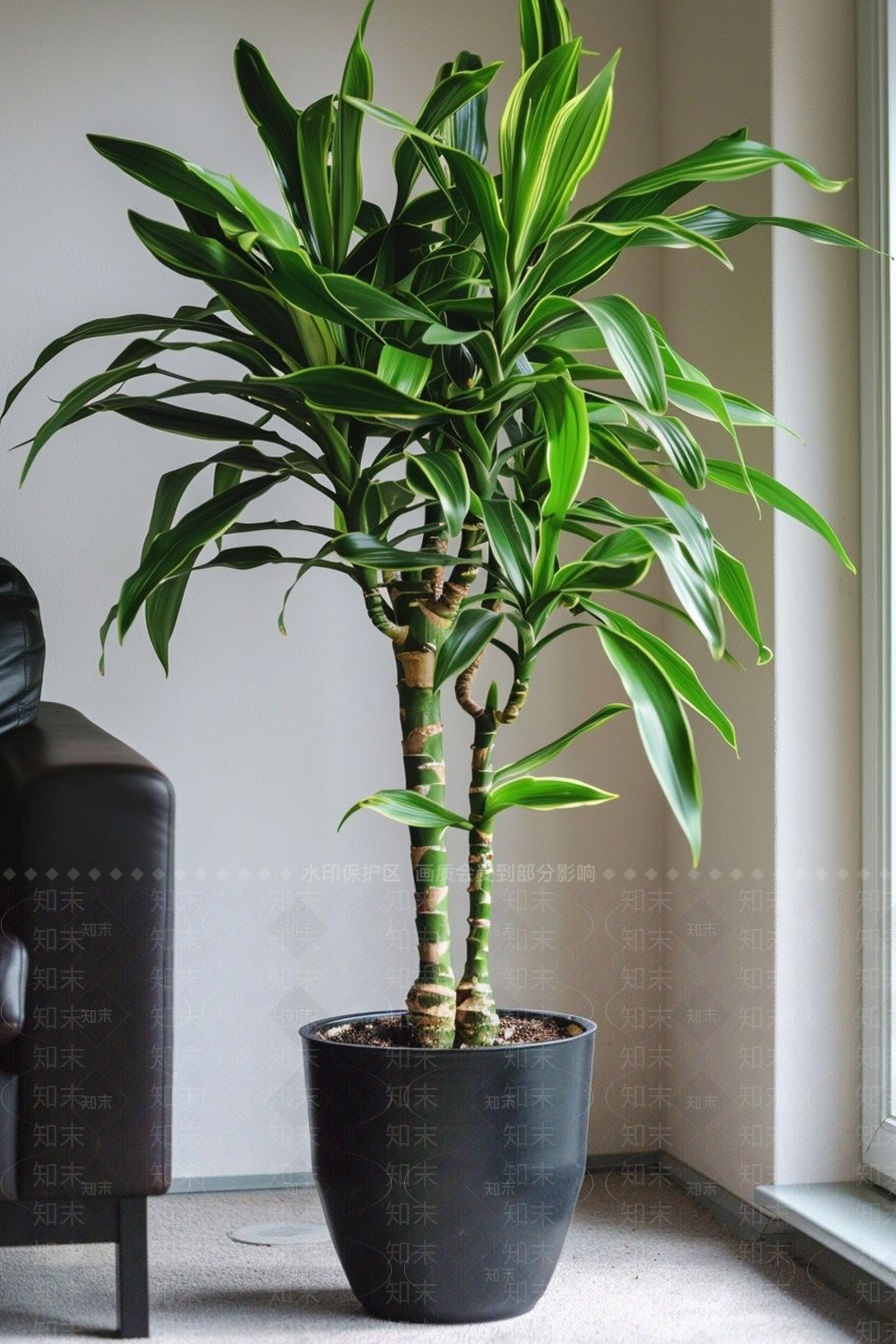 盆栽3D模型下载【ID:1203370341】