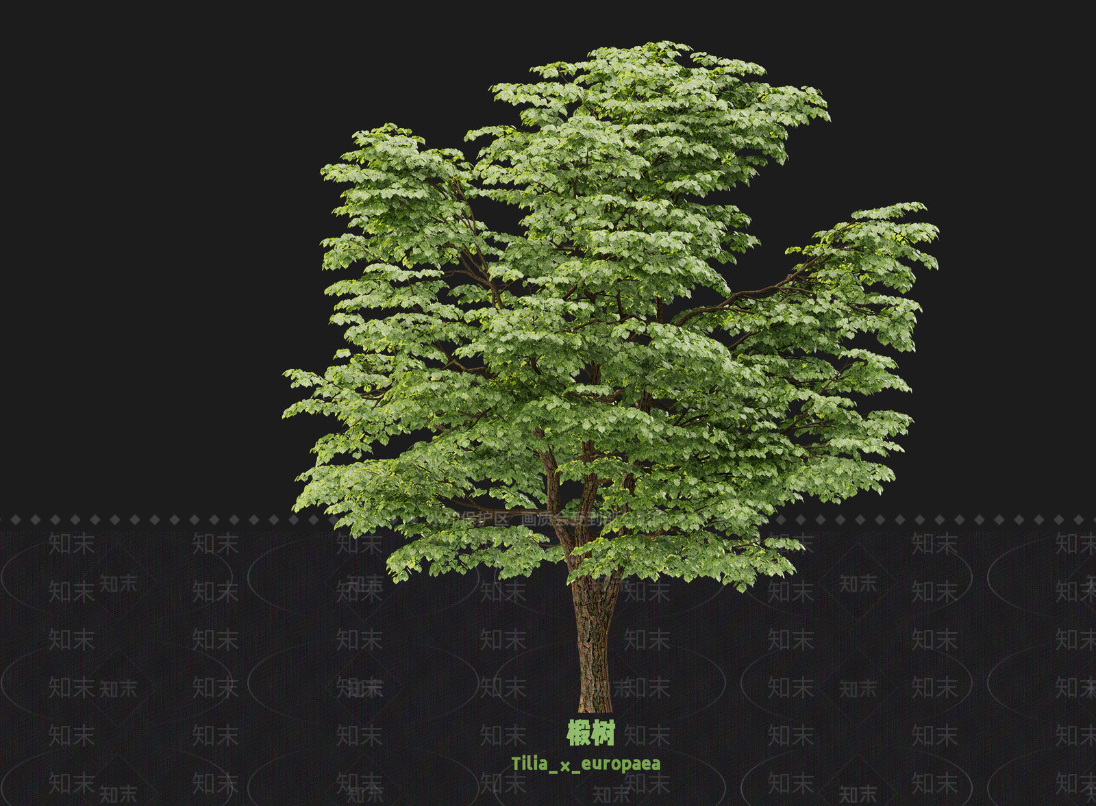 乔木SU模型下载【ID:1203435843】