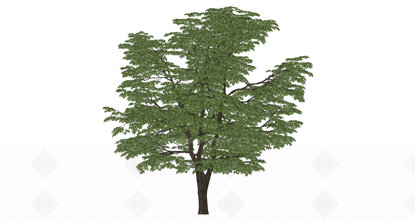 乔木SU模型下载【ID:1203435843】