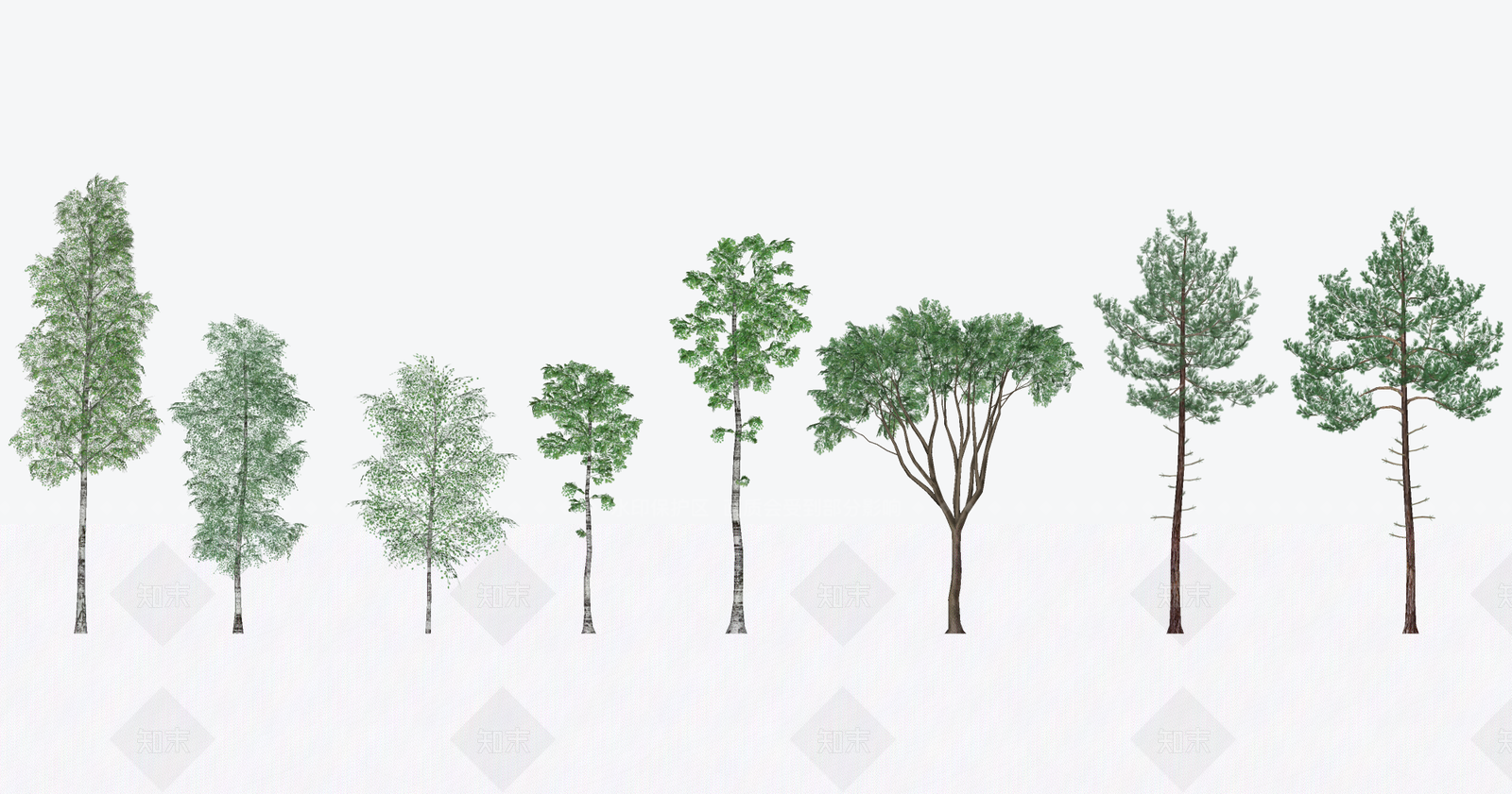 乔木SU模型下载【ID:1203500880】