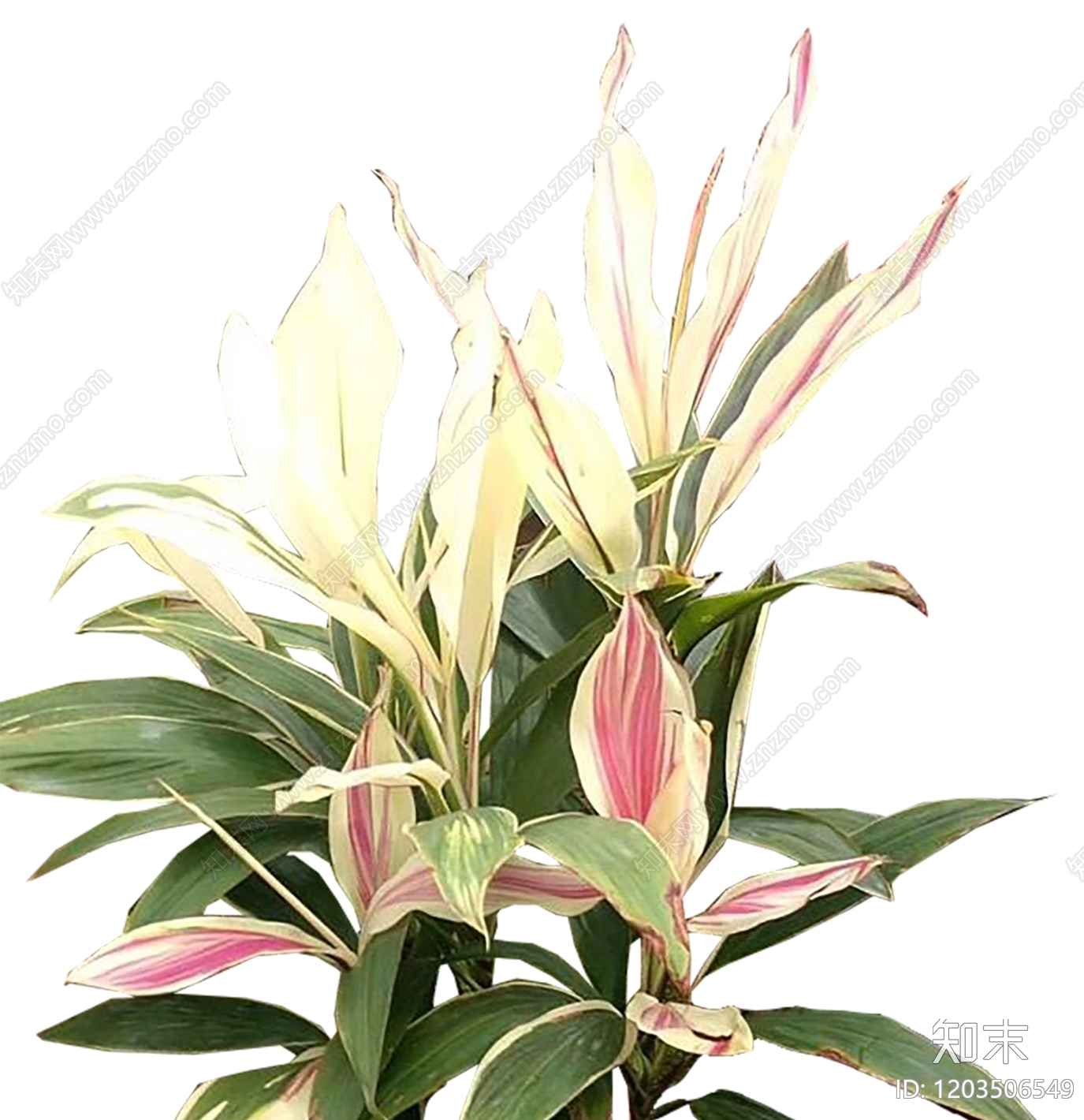 现代新中式其他花草下载【ID:1203506549】