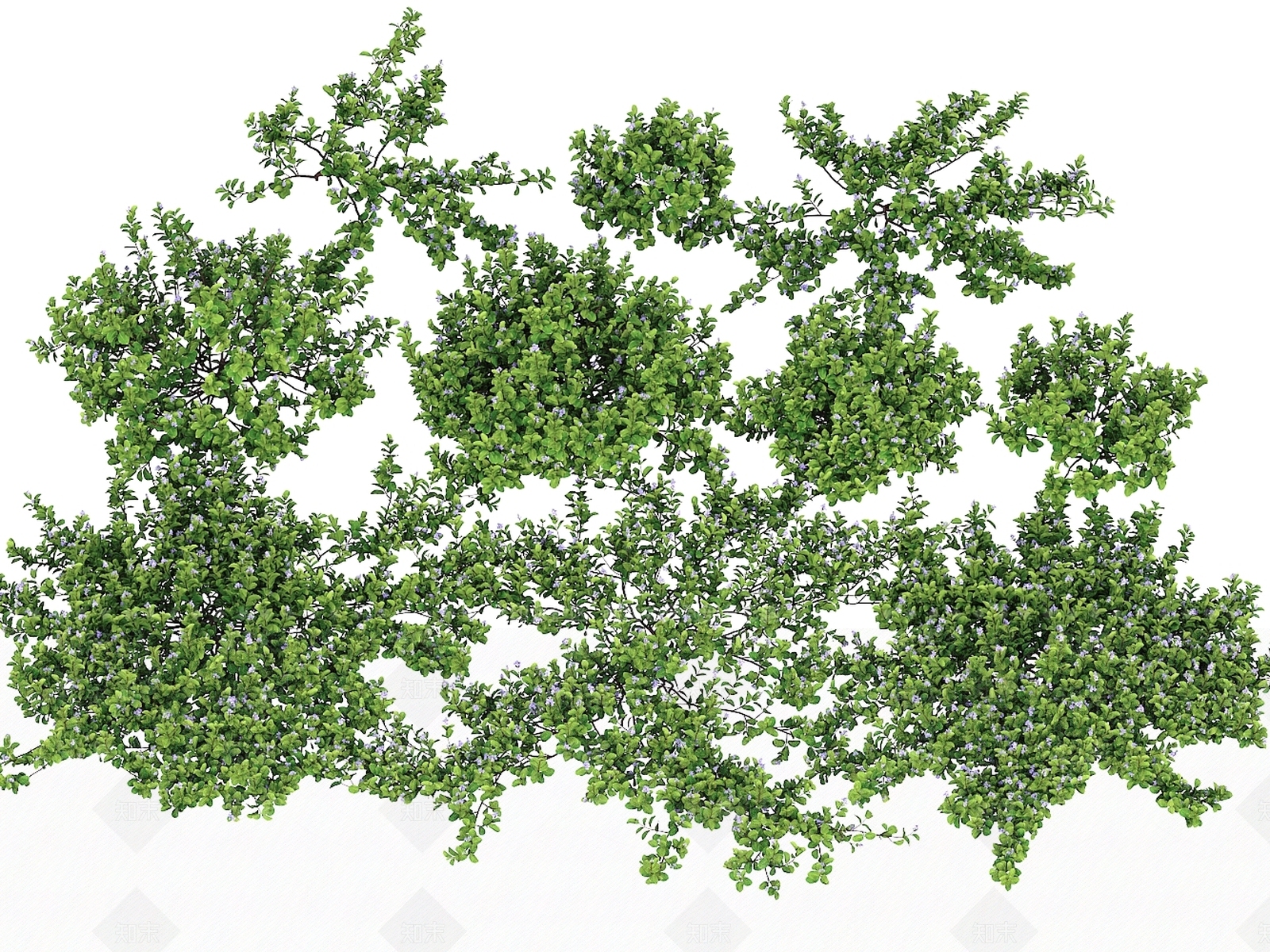 灌木3D模型下载【ID:1203509775】