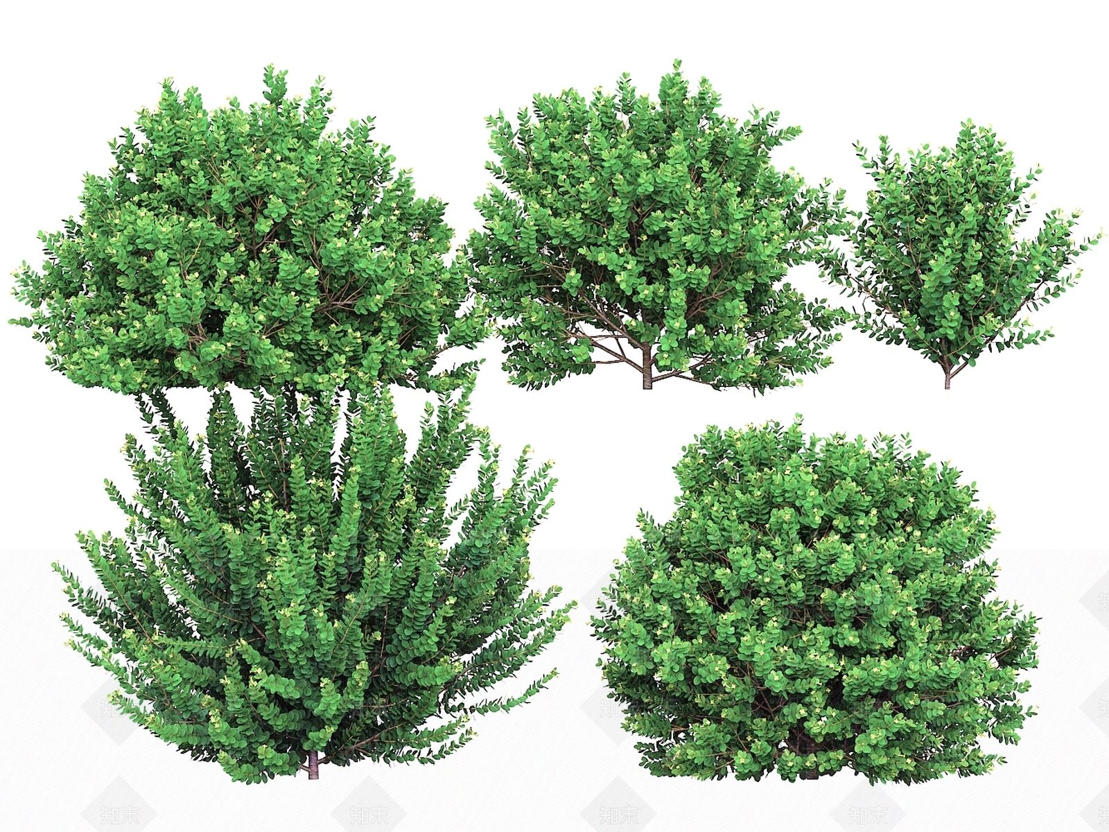 灌木3D模型下载【ID:1203509844】