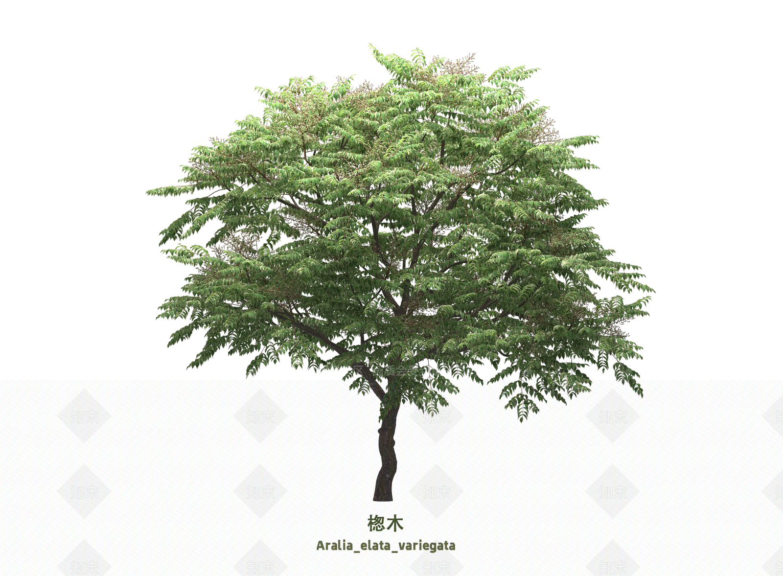 灌木3D模型下载【ID:1203586979】