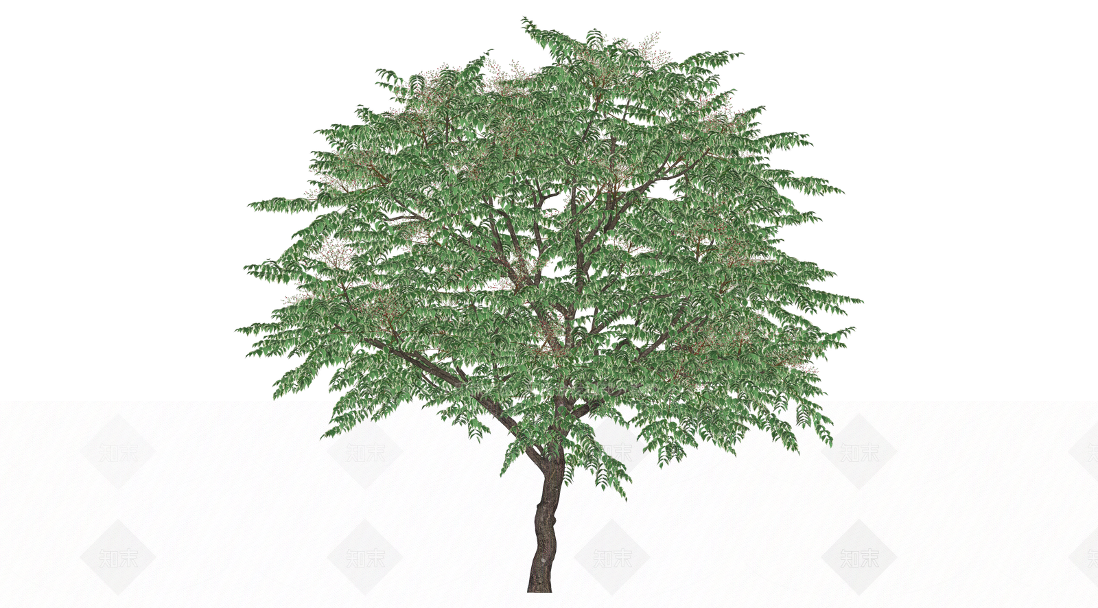 灌木SU模型下载【ID:1203587074】
