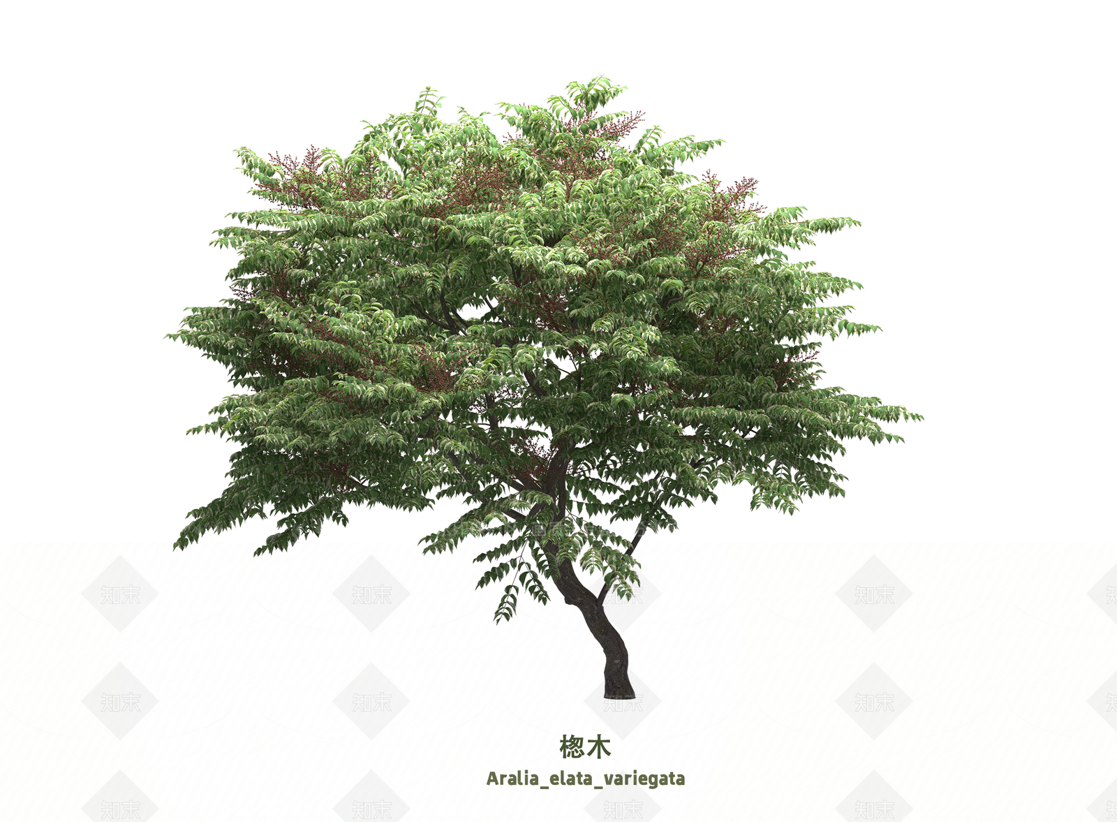 乔木SU模型下载【ID:1203587236】