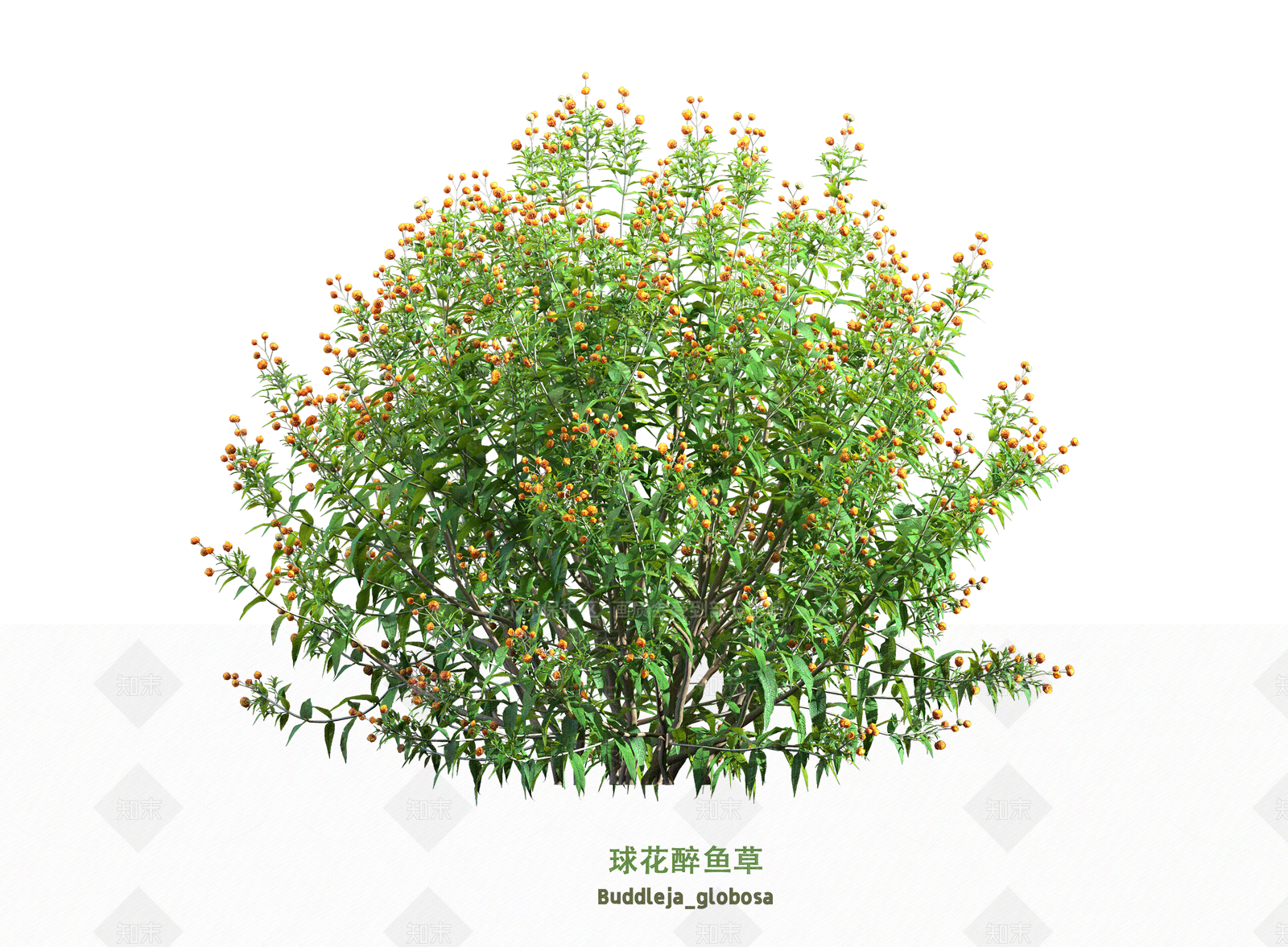 花3D模型下载【ID:1203600214】