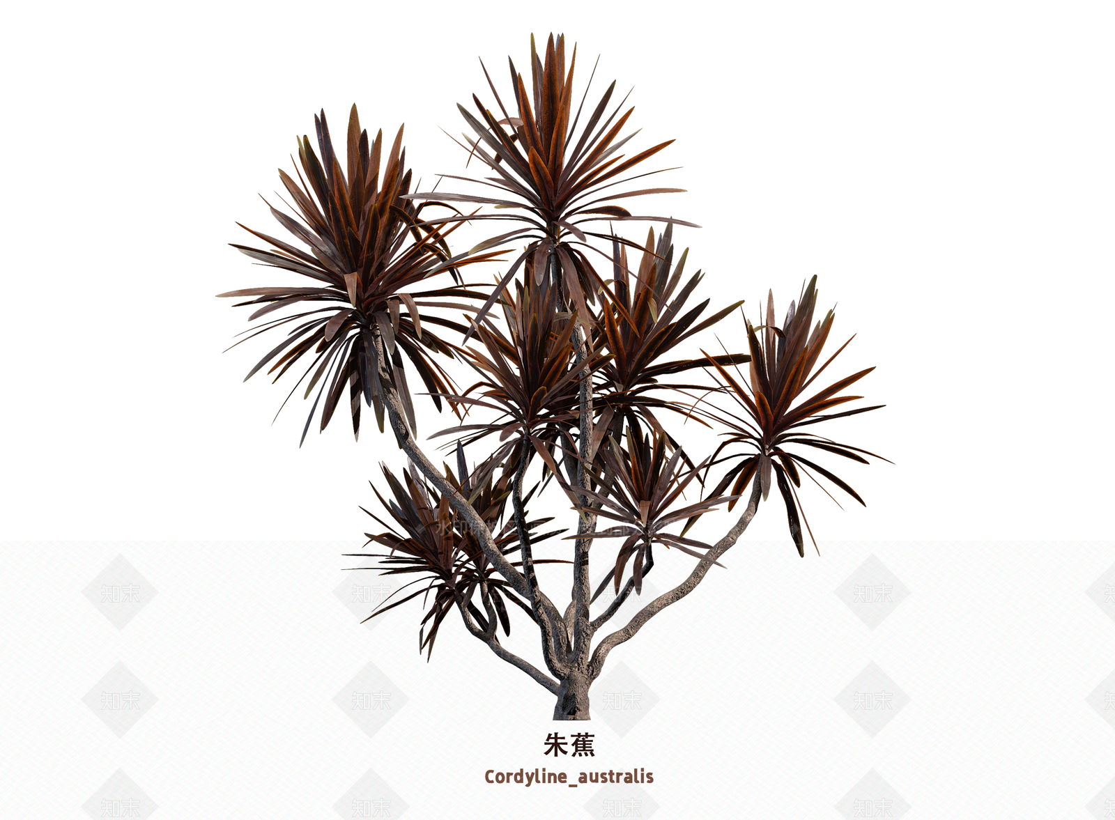 花3D模型下载【ID:1203601258】