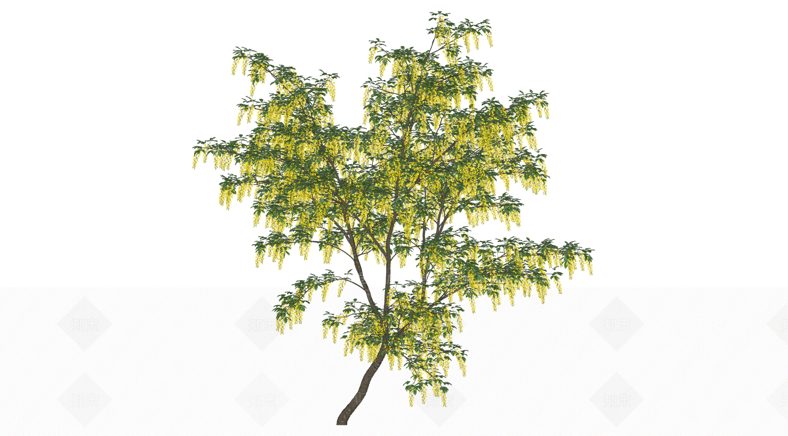 灌木SU模型下载【ID:1203610581】