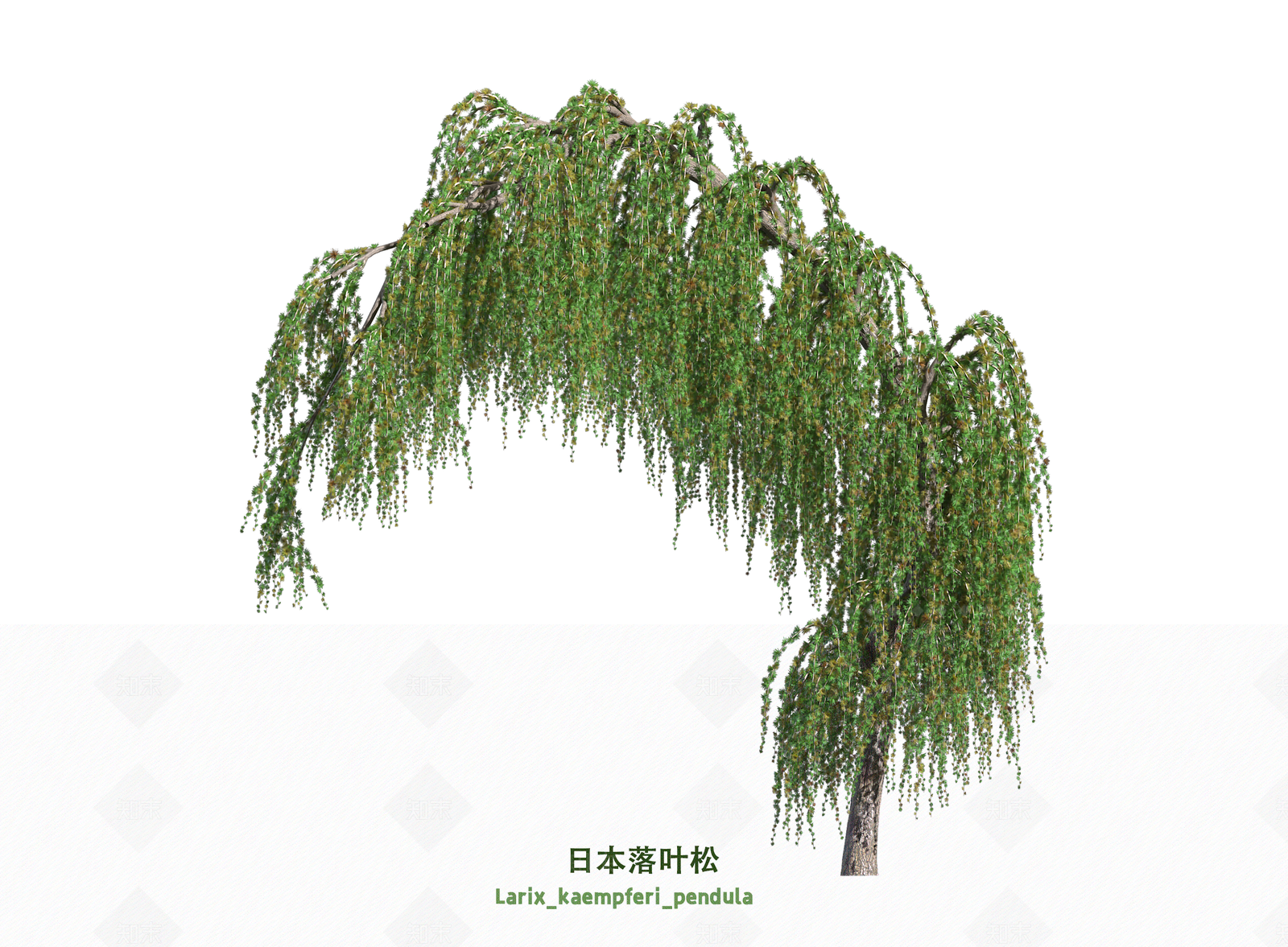灌木3D模型下载【ID:1203611395】