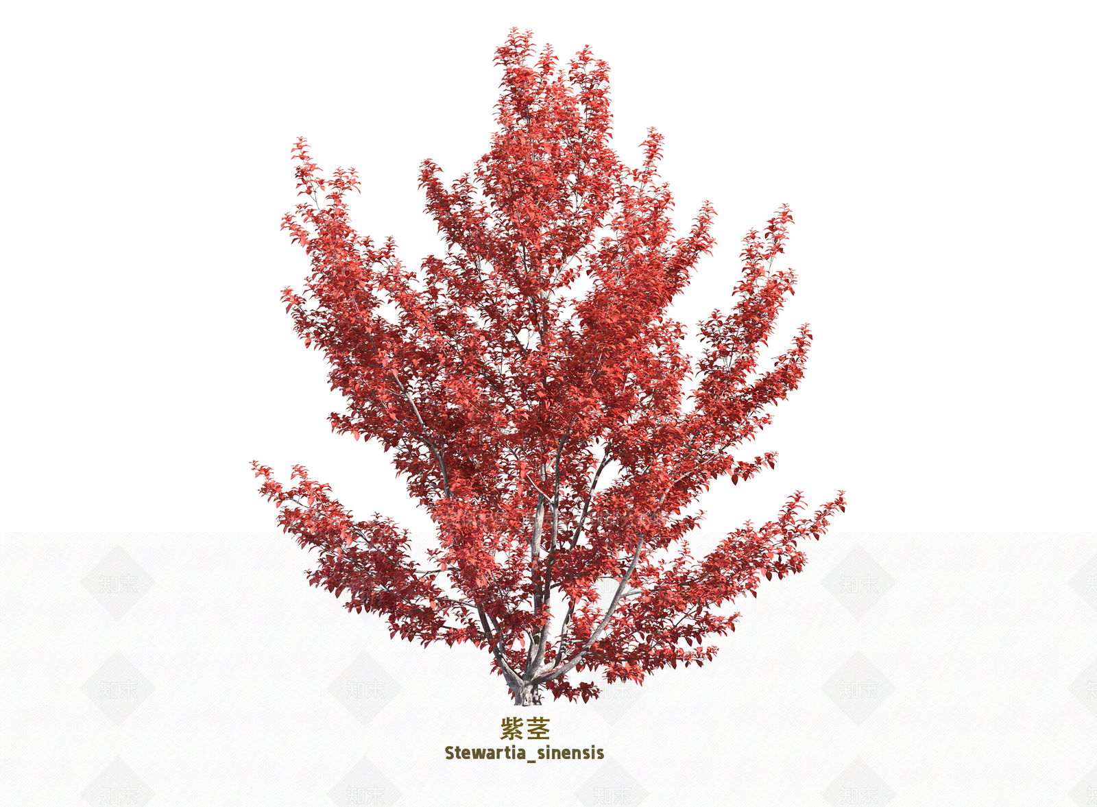 灌木3D模型下载【ID:1203617211】