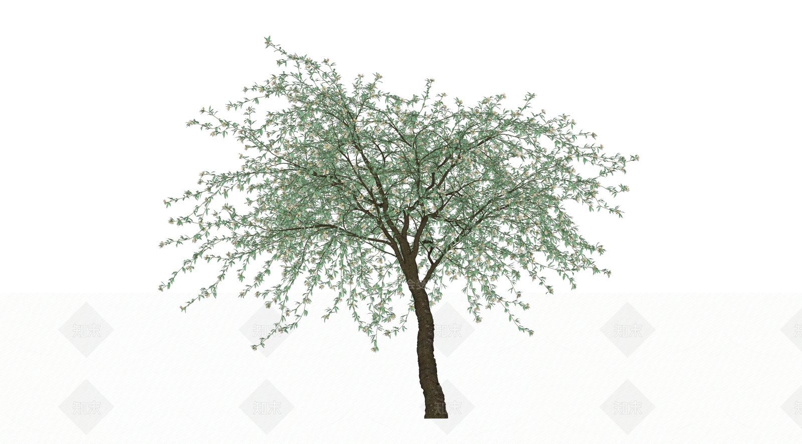 灌木SU模型下载【ID:1203618721】