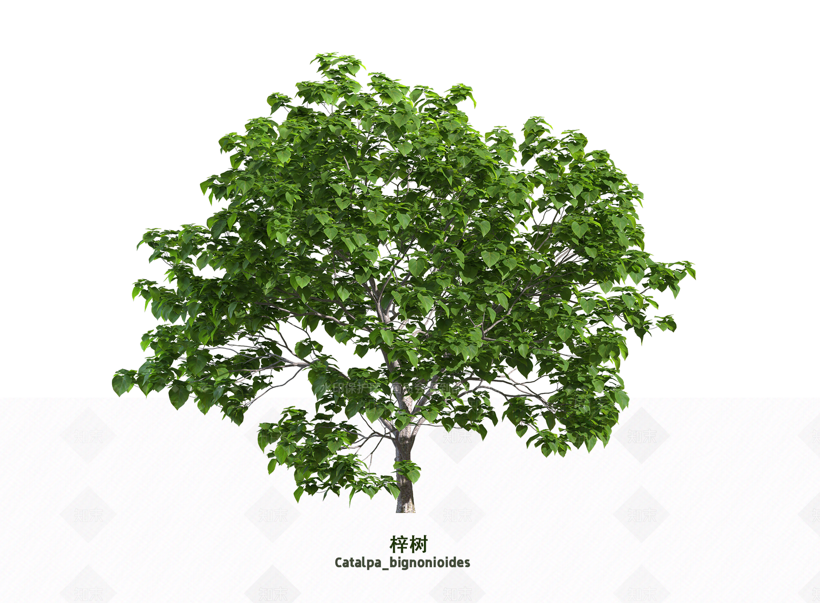 灌木3D模型下载【ID:1203623731】