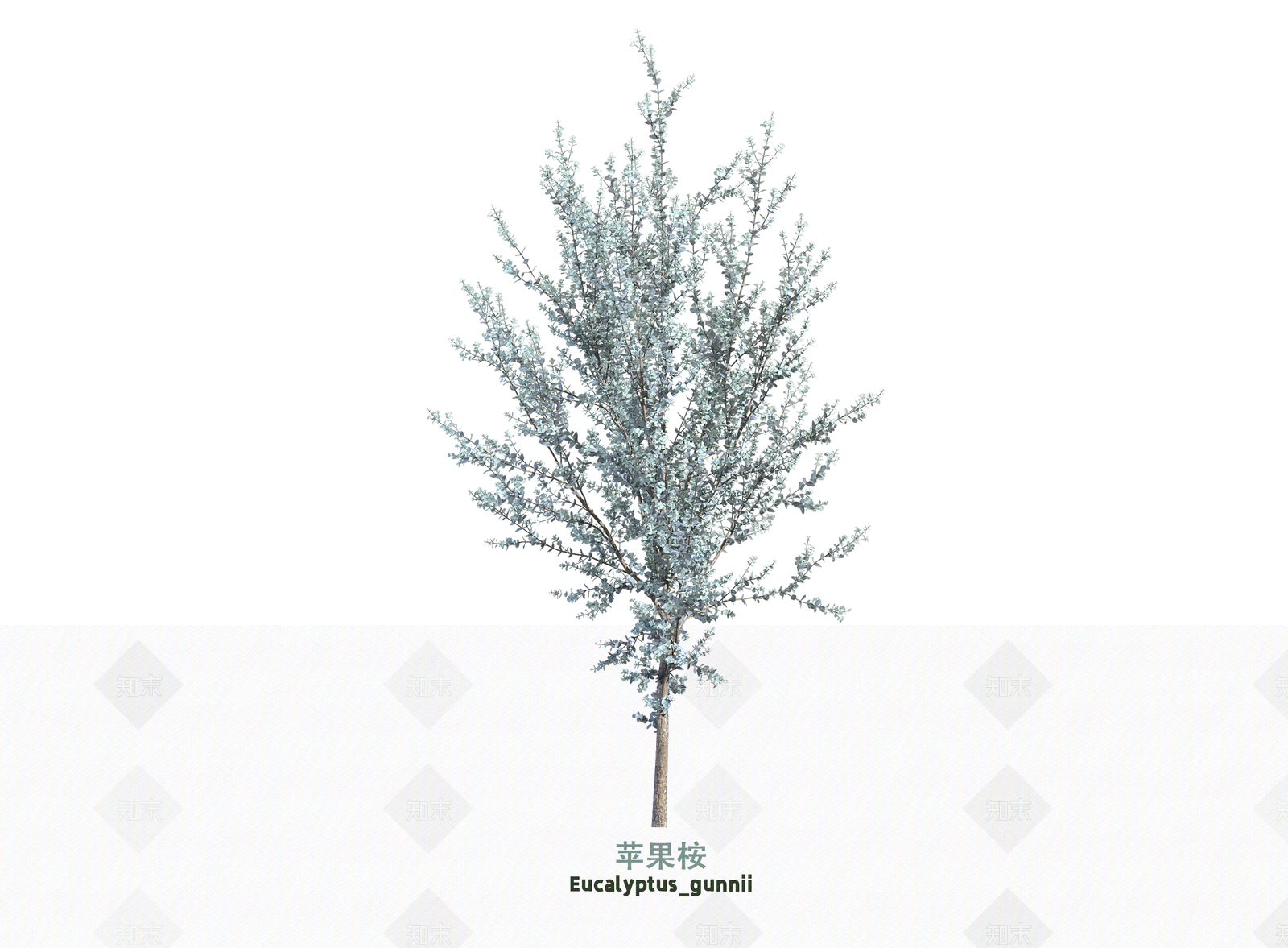 灌木SU模型下载【ID:1203666271】