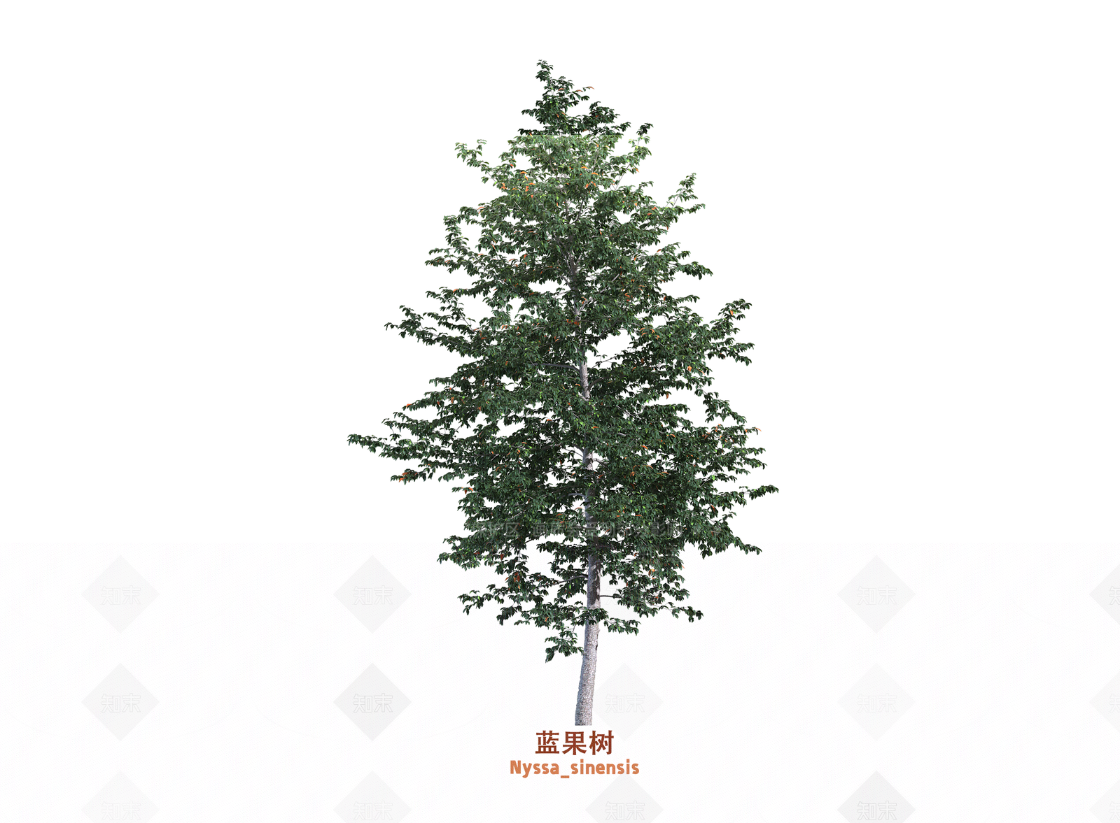 乔木3D模型下载【ID:1203668051】