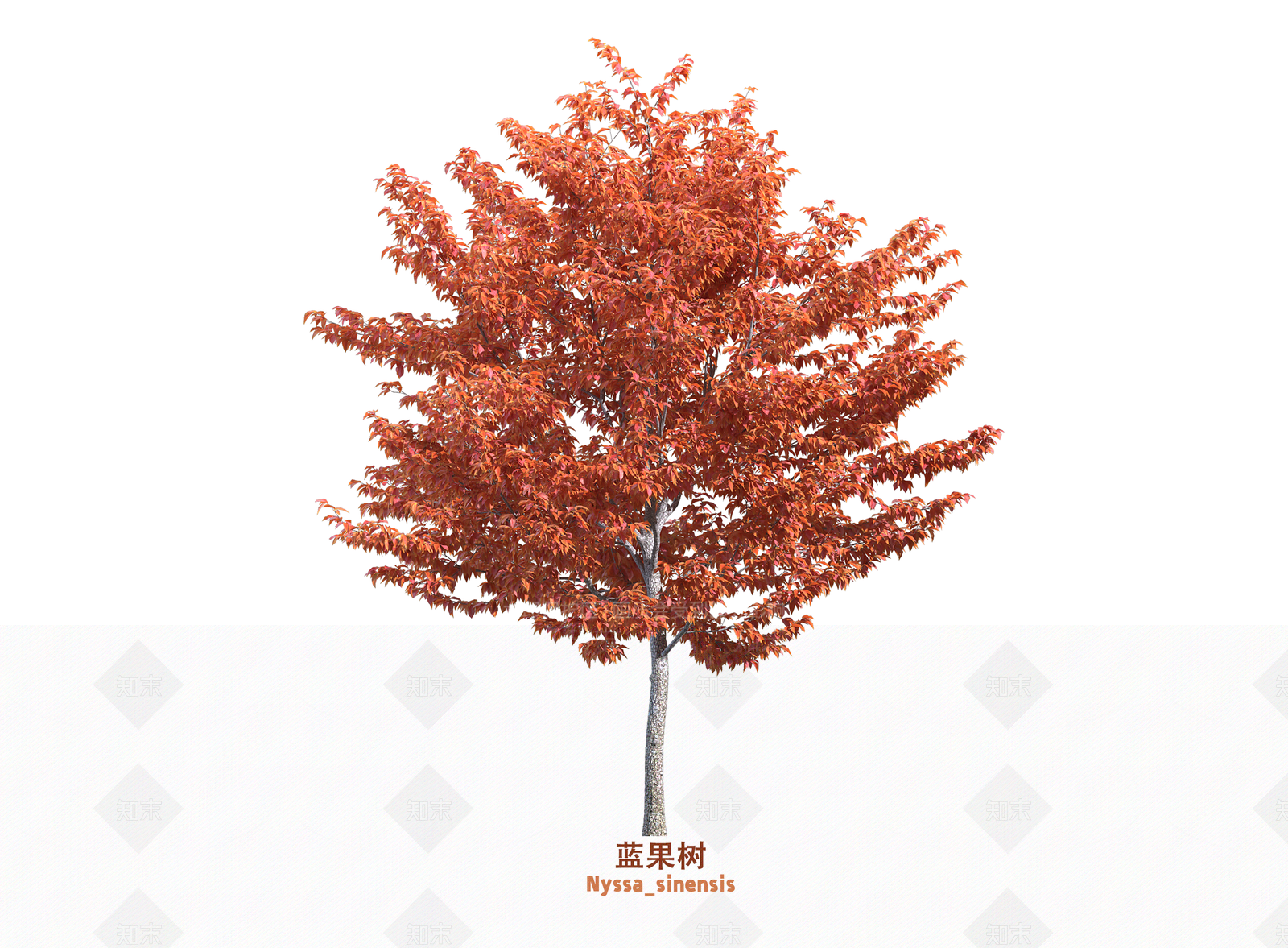 乔木3D模型下载【ID:1203668200】