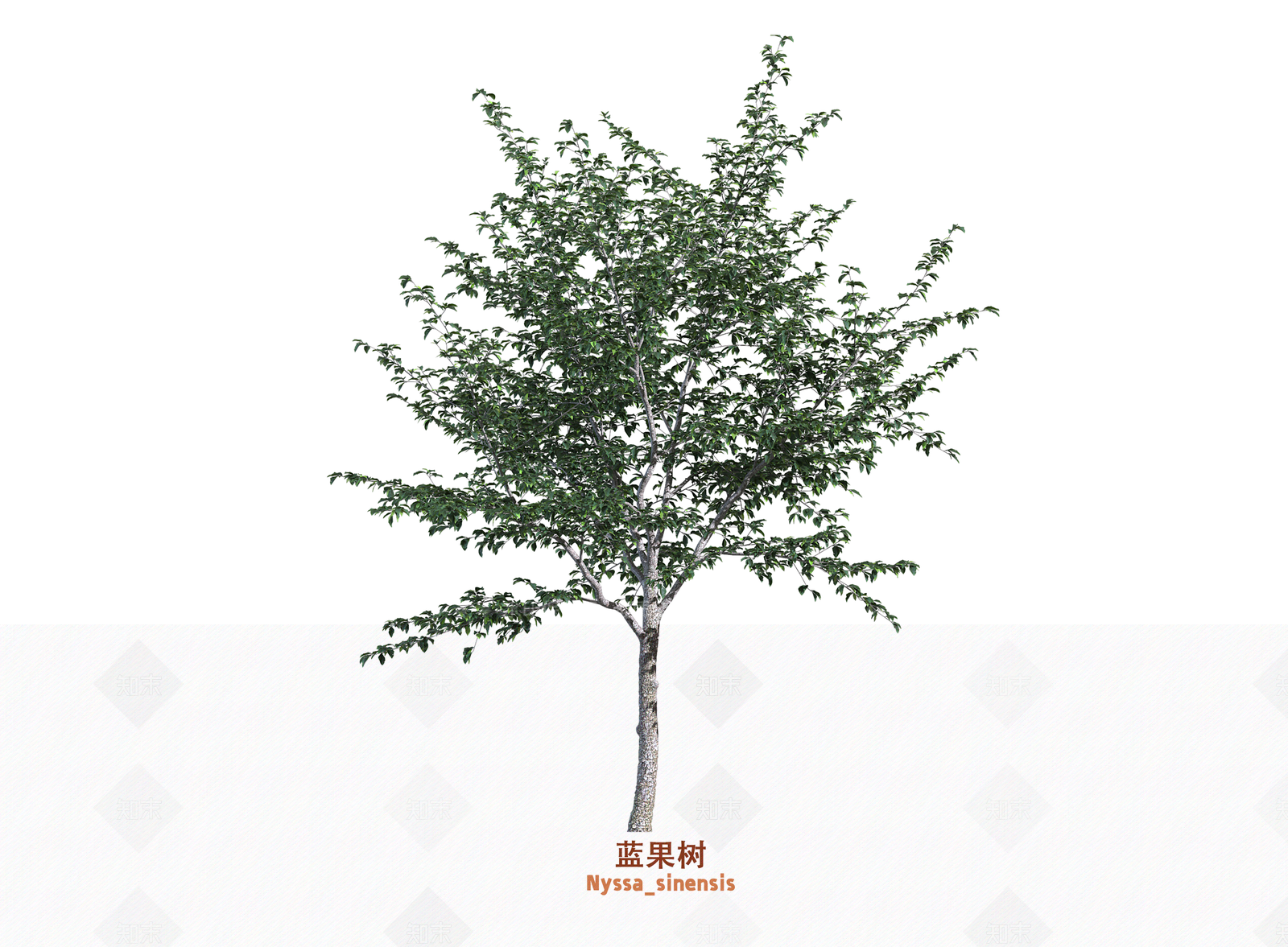 乔木3D模型下载【ID:1203668315】
