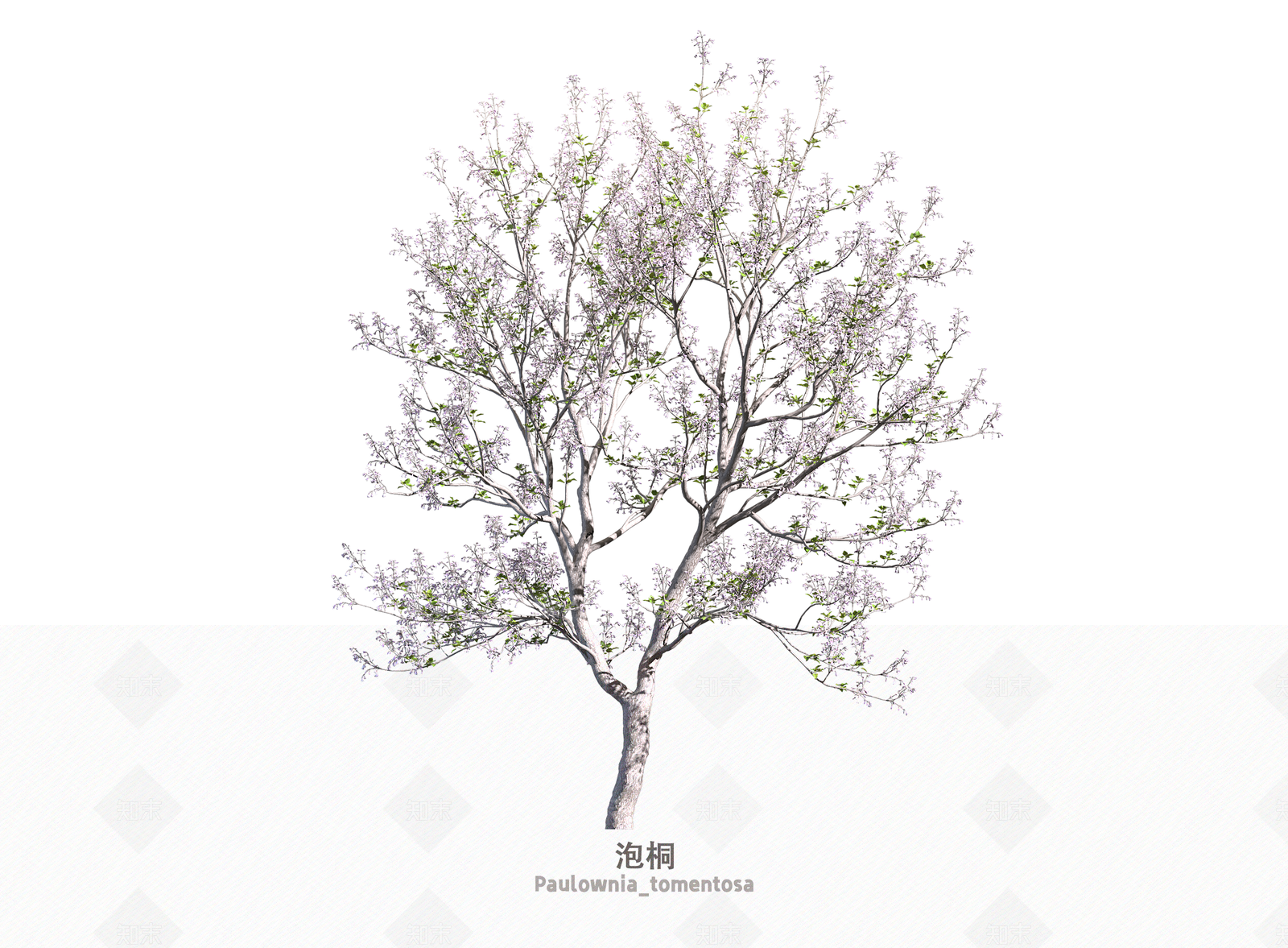 乔木3D模型下载【ID:1203668766】