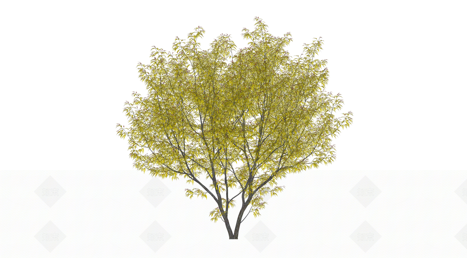 灌木SU模型下载【ID:1203671350】