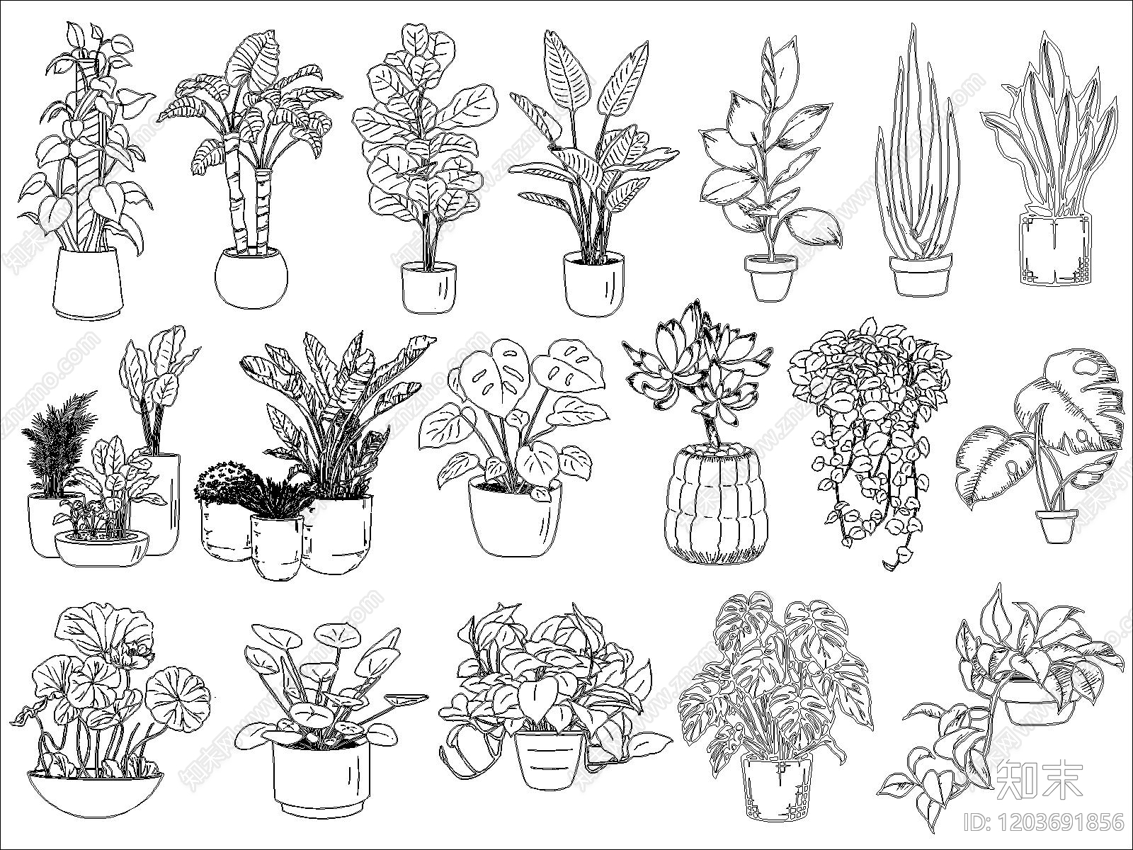 现代绿植cad施工图下载【ID:1203691856】