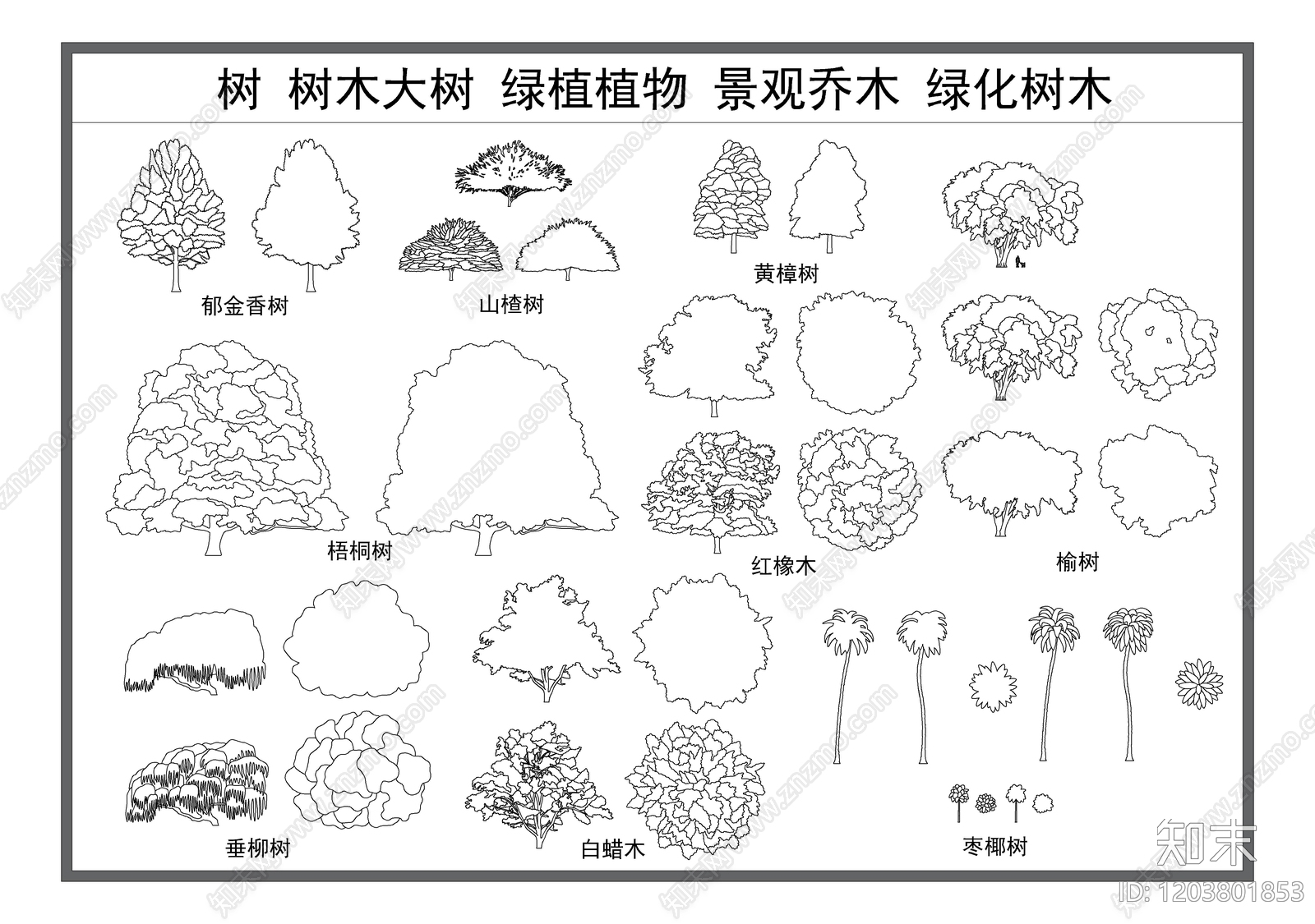 乔木种植施工图下载【ID:1203801853】